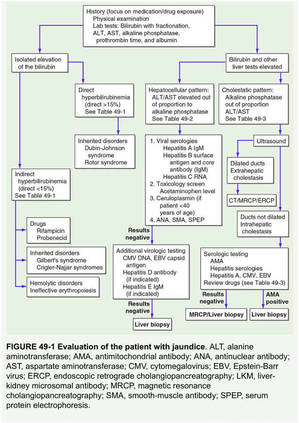 Harrison's Principles of Internal Medicine, Twenty First Edition