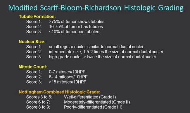 This histopathology-focused educational image illustrates the Elston-Ellis modification of Scarff-Bloom-Richardson grading, also known as the Nottingham Combined Histologic Grade, applied to invasive breast ductal carcinoma. Prepared on formalin-fixed paraffin-embedded breast tissue and stained with Hematoxylin and Eosin, the slide emphasizes three morphologic components used to assign a tumor grade: tubule formation, nuclear size and pleomorphism, and mitotic rate. Tubule formation is scored from 1 to 3 by the proportion of tumor forming tubules; higher tubule content indicates a lower grade. Nuclear size and pleomorphism assess nuclear size, shape, and chromatin pattern, with small regular nuclei receiving the lowest score and markedly abnormal, high-grade nuclei receiving the highest score. Mitotic count evaluates proliferative activity in mitotic figures per high power field, with increasing mitoses earning higher scores. The three component scores are summed to yield a final histologic grade: 3–5 for well-differentiated (Grade I), 6–7 for moderately differentiated (Grade II), and 8–9 for poorly differentiated (Grade III). This grading correlates with prognosis, recurrence risk, and overall survival, and remains essential for guiding adjuvant therapy decisions. The image also underscores nomenclature: Nottingham, Elston-Ellis, and Scarff-Bloom-Richardson systems. The figure may include color-coded score annotations and a legend for quick reference by pathologists, surgeons, and trainees.