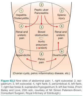 Bailey and Love's Short Practice of Surgery 28th Edition