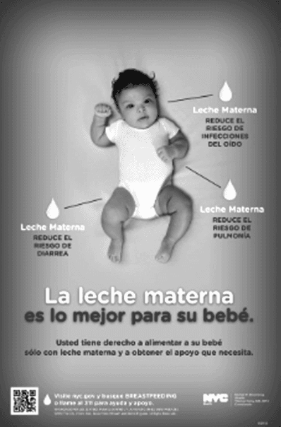 Summary : This is a public health promotional poster advocating breastfeeding, highlighting the health benefits of breast milk for infants, with supporting text and official branding.
photo:
Scene Overview :
• Main subject: An infant lying on a light background, wearing a white onesie.
• Perspective: Overhead view, centered composition.
• Colour palette: Grayscale (black and white).
• Lighting: Even, soft, no harsh shadows.
• On-image text: Multiple Spanish-language health messages and official logos.
Technical Details :
• No scale bar or magnification.
• Three labeled droplet icons point to the infant, each with a health benefit:
• "Leche Materna REDUCE EL RIESGO DE DIARREA"
• "Leche Materna REDUCE EL RIESGO DE INFECCIONES DEL OÍDO"
• "Leche Materna REDUCE EL RIESGO DE PULMONÍA"
• Central bold text: "La leche materna es lo mejor para su bebé."
• Additional text: "Usted tiene derecho a alimentar a su bebé sólo con leche materna y a obtener el apoyo que necesita."
• QR code and website link at the bottom for more information.
• NYC Health Department logo and contact details in the lower right.
Spatial Relationships :
• The infant is centrally placed, with health benefit icons and text radiating outward.
• Main message is directly below the infant, occupying the lower third of the poster.
• Official branding and QR code are at the bottom edge.
Analysis :
• The poster visually and textually emphasizes the health advantages of breastfeeding, specifically reducing risks of diarrhea, ear infections, and pneumonia.
• The layout is designed to draw attention to the infant and the associated health benefits, reinforcing the message that breast milk is the optimal choice for babies.
• Official branding and contact information provide credibility and resources for further support.