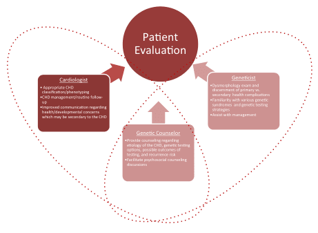 Summary : This flowchart illustrates the multidisciplinary process of patient evaluation involving a cardiologist, geneticist, and genetic counselor, each contributing specific expertise to the assessment and management of patients, particularly those with congenital heart disease (CHD).