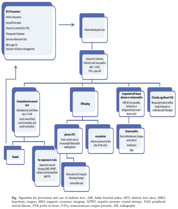 Summary : This flowchart presents a comprehensive algorithm for the prevention and care of diabetic foot, including screening, ulcer management, wound care, offloading, infection and ischemia assessment, and advanced therapies.
flowchart:
# Nodes :
• DFU Prevention (rounded rectangle): Patient education, annual foot exam, glycemic control (A1c<7%), therapeutic footwear, Semmes-Weinstein test, ABI at age 50, vascular risk factor management.
• Patient developed ulcer (rectangle).
• Assess for ischemia, infection and neuropathy (rectangle): ABI + TcPO2, PTB + plain XR.
• Comprehensive wound care (rectangle): Debridement and follow up q 1-4 wk, moist wound bed, control exudate, avoid maceration.
• Offloading (rectangle).
• Suspected soft tissue abscess or osteomyelitis (rectangle): MRI (if not possible, leukocyte or antigranulocyte scan + bone scan).
• Clinically significant PAD (rectangle): Revascularization (either surgical bypass or endovascular therapy).
• Healed (rectangle).
• No response in 4 wks (rectangle): Adjunctive wound therapy (HBO, NPWT, cellular and extracellular agents).
• plantar DFU (rectangle): Total contact cast or irremovable fixed ankle walking boot.
• non-plantar (rectangle): Relieves pressure at the site of the ulcer.
• Alternative for frequent dressing changes (rectangle): Removable cast.
• Osteomyelitis (rectangle): Bone debridement, biopsy and culture, antibiotics, HBO.
# Connectors :
• Arrow from DFU Prevention to Patient developed ulcer.
• Arrow from Patient developed ulcer to Assess for ischemia, infection and neuropathy.
• From Assess for ischemia, infection and neuropathy, three branches:
– To Comprehensive wound care.
– To Offloading.
– To Suspected soft tissue abscess or osteomyelitis and Clinically significant PAD.
• Comprehensive wound care leads to Healed or, if no response in 4 wks, to adjunctive wound therapy.
• Offloading splits into plantar DFU (total contact cast or irremovable boot) and non-plantar (relieves pressure at ulcer site), with alternative for frequent dressing changes (removable cast).
• Suspected soft tissue abscess or osteomyelitis leads to Osteomyelitis (bone debridement, biopsy, antibiotics, HBO).
• Clinically significant PAD leads to revascularization.
• All branches ultimately aim for healing.
# Layout :
• Top-down flow, starting with prevention, then ulcer development, assessment, and branching into wound care, offloading, infection/ischemia management.
• Multiple parallel branches for different clinical scenarios.
• Merges at points where healing is achieved or advanced therapies are considered.
# Analysis :
• The flowchart emphasizes early prevention and regular screening to reduce diabetic foot ulcer (DFU) risk.
• Once an ulcer develops, a systematic assessment for ischemia, infection, and neuropathy guides further management.
• Wound care and offloading are central, with specific strategies for plantar and non-plantar ulcers.
• Advanced imaging and therapies are reserved for cases with suspected infection or poor response to standard care.
• The algorithm integrates vascular assessment and revascularization for patients with peripheral arterial disease (PAD).
• The workflow is designed to optimize healing and minimize complications through stepwise escalation of care.