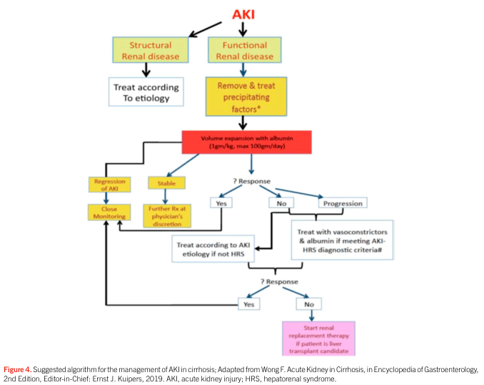 Summary : This flowchart presents a suggested algorithm for the management of acute kidney injury (AKI) in patients with cirrhosis, distinguishing between structural and functional renal disease, and outlining stepwise treatment decisions based on response to interventions.
flowchart:
# Nodes :
• AKI (start, red text)
• Structural Renal disease (rectangle, yellow-green)
• Functional Renal disease (rectangle, yellow-green)
• Treat according to etiology (rectangle, white)
• Remove & treat precipitating factors* (rectangle, yellow)
• Volume expansion with albumin (rectangle, red) — "1gm/kg, max 100gm/day"
• ? Response (diamond, blue)
• Regression of AKI (rectangle, yellow)
• Stable (rectangle, yellow)
• Close Monitoring (rectangle, yellow)
• Further Rx at physician’s discretion (rectangle, yellow)
• Yes (diamond, blue)
• No (diamond, blue)
• Progression (rectangle, blue)
• Treat according to AKI etiology if not HRS (rectangle, white)
• Treat with vasoconstrictors & albumin if meeting AKI-HRS diagnostic criteria# (rectangle, blue)
• ? Response (diamond, blue)
• Yes (diamond, blue)
• No (diamond, blue)
• Start renal replacement therapy if patient is liver transplant candidate (rectangle, pink)
# Connectors :
• AKI splits into two branches: Structural Renal disease and Functional Renal disease.
• Structural Renal disease → Treat according to etiology.
• Functional Renal disease → Remove & treat precipitating factors* → Volume expansion with albumin.
• Volume expansion with albumin → ? Response.
• ? Response branches:
– Yes → Regression of AKI → Close Monitoring.
– Yes → Stable → Further Rx at physician’s discretion.
– No → Treat according to AKI etiology if not HRS.
– Progression → Treat with vasoconstrictors & albumin if meeting AKI-HRS diagnostic criteria# → ? Response.
• Second ? Response:
– Yes → Treat according to AKI etiology if not HRS.
– No → Start renal replacement therapy if patient is liver transplant candidate.
# Layout :
• Top-down hierarchical flow.
• Initial split into two main branches (structural vs. functional).
• Functional branch has a more complex, multi-step decision tree with feedback loops.
• Decision diamonds indicate response checkpoints.
• Colour coding: yellow for initial steps, red for albumin intervention, blue for response/treatment, pink for renal replacement therapy.
# Analysis :
• The algorithm prioritises distinguishing structural from functional renal disease in AKI management for cirrhosis.
• Functional renal disease is managed by removing precipitating factors and volume expansion with albumin, followed by assessment of response.
• If AKI does not regress or progresses, further treatment with vasoconstrictors and albumin is considered if AKI-HRS criteria are met.
• Non-responders may be considered for renal replacement therapy if they are liver transplant candidates.
• The flowchart emphasises stepwise escalation of therapy and close monitoring, with decision points guiding further management.