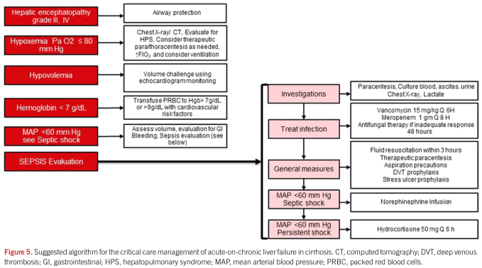 Summary : This figure presents a suggested algorithm for the critical care management of acute-on-chronic liver failure in cirrhosis, outlining stepwise assessment and interventions for various clinical scenarios including hepatic encephalopathy, hypoxemia, hypovolemia, anemia, and septic shock, with specific recommendations for investigations, infection treatment, and general supportive measures.
flowchart:
# Nodes :
• Hepatic encephalopathy grade III, IV (rectangle, red)
• Hypoxemia Pa O2 ≤ 80 mm Hg (rectangle, red)
• Hypovolemia (rectangle, red)
• Hemoglobin < 7 g/dL (rectangle, red)
• MAP < 60 mm Hg see Septic shock (rectangle, red)
• SEPSIS Evaluation (rectangle, red)
• Airway protection (rectangle, white)
• Chest X-ray/CT. Evaluate for HPS, Consider therapeutic para/thoracentesis as needed, ↑FiO2, and consider ventilation (rectangle, white)
• Volume challenge using echocardiogram monitoring (rectangle, white)
• Transfuse PRBC to Hgb > 7g/dL or > 9g/dL with cardiovascular risk factors (rectangle, white)
• Assess volume, evaluation for GI Bleeding, Sepsis evaluation (rectangle, white)
• Investigations (rectangle, pink)
• Paracentesis, Culture blood, ascites, urine, Chest X-ray, Lactate (rectangle, white)
• Treat infection (rectangle, pink)
• Vancomycin 15 mg/kg Q 6H, Meropenem 1 gm Q 8H, Antifungal therapy if inadequate response 48 hours (rectangle, white)
• General measures (rectangle, pink)
• Fluid resuscitation within 3 hours, Therapeutic paracentesis, Aspiration precautions, DVT prophylaxis, Stress ulcer prophylaxis (rectangle, white)
• MAP < 60 mm Hg Septic shock (rectangle, pink)
• Norepinephrine Infusion (rectangle, white)
• MAP < 60 mm Hg Persistent shock (rectangle, pink)
• Hydrocortisone 50 mg Q 6 h (rectangle, white)
# Connectors :
• Each red rectangle (clinical scenario) connects rightward to a specific white rectangle (intervention or assessment).
• SEPSIS Evaluation leads to a vertical sequence of pink rectangles: Investigations → Treat infection → General measures → MAP < 60 mm Hg Septic shock → MAP < 60 mm Hg Persistent shock.
• Each pink rectangle is followed by a white rectangle detailing specific actions.
• The flow is primarily left-to-right for initial assessment, then top-to-bottom for sepsis management.
# Layout :
• The diagram is organized in three main vertical columns:
– Left: Red rectangles for initial clinical findings.
– Middle: White rectangles for immediate interventions.
– Right: Pink rectangles for sepsis evaluation and management, with white rectangles for detailed steps.
• The sepsis management column is a vertical sequence, with each step leading to the next.
# Analysis :
• The algorithm provides a structured, stepwise approach for managing acute-on-chronic liver failure in cirrhosis, prioritizing airway protection, oxygenation, volume status, anemia correction, and sepsis evaluation.
• Sepsis management is detailed, with specific recommendations for investigations, antimicrobial therapy, supportive measures, and escalation to vasopressors and steroids for persistent shock.
• The flowchart emphasizes early identification and targeted intervention for each critical issue, integrating both general and specific measures for optimal patient care.