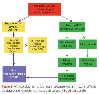 Summary : This flowchart outlines the diagnostic workup for abnormal liver tests in pregnant women, distinguishing between hepatocellular and biliary profiles, and guiding further testing and management based on initial findings.
flowchart:
# Nodes :
• Start: "Pregnant woman: initial workup of abnormal liver tests" (red rectangle)
• Decision: "Hepatocellular profile? AST/ALT" (yellow rectangle)
• Decision: "Biliary profile? elevated bili/alk phos" (green rectangle)
• Process: "Rule out: Viral hepatitis, Herpes, Medications, Other**" (yellow rectangle)
• Process: "Anti-HAV IgM, HBsAg, Hepatitis E IgM, HSV PCR" (yellow rectangle)
• Process: "See Pregnancy-related workup" (purple rectangle)
• Decision: "Bilirubin +/- alk phos" (green rectangle)
• Decision: "Alk phos only" (green rectangle)
• Process: "Biliary imaging" (green rectangle)
• Process: "No further workup" (green rectangle)
• Decision: "No evidence of obstruction" (green rectangle)
• Process: "See Pregnancy-related workup" (purple rectangle)
# Connectors :
• The initial node splits into two branches: hepatocellular profile (left) and biliary profile (right).
• Hepatocellular profile branch:
– "Hepatocellular profile? AST/ALT" → "Rule out: Viral hepatitis, Herpes, Medications, Other**"
– "Rule out: ..." → "Anti-HAV IgM, HBsAg, Hepatitis E IgM, HSV PCR"
– "Anti-HAV IgM, ..." → "See Pregnancy-related workup"
• Biliary profile branch:
– "Biliary profile? elevated bili/alk phos" → two branches:
• "Bilirubin +/- alk phos" → "Biliary imaging" → "No evidence of obstruction" → "See Pregnancy-related workup"
• "Alk phos only" → "No further workup"
# Layout :
• The flowchart is organized as a top-down decision tree with two main branches (hepatocellular and biliary) diverging from the initial node.
• The hepatocellular branch is on the left, the biliary branch is on the right.
• The biliary branch further splits into two sub-branches based on the presence of bilirubin and/or alkaline phosphatase.
# Analysis :
• The flowchart provides a clear, stepwise approach for evaluating abnormal liver tests in pregnant women, emphasizing the importance of distinguishing between hepatocellular and biliary patterns.
• It ensures that relevant infectious and non-infectious causes are considered and that unnecessary workup is avoided when only alkaline phosphatase is elevated.
• The process directs clinicians to pregnancy-specific workup when indicated and highlights the need for biliary imaging if both bilirubin and alkaline phosphatase are elevated.
• The chart also notes that other differential diagnoses (e.g., AIH, Wilson disease) should be considered if clinically appropriate.