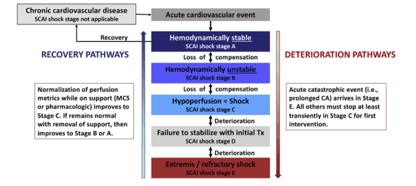 Summary : This flowchart illustrates the progression and recovery pathways of patients experiencing acute cardiovascular events, using the SCAI shock staging system (Stages A–E). It details both recovery and deterioration routes, criteria for stage transitions, and the impact of interventions.
flowchart:
# Nodes :
• Chronic cardiovascular disease (rectangle): "SCAI shock stage not applicable"
• Acute cardiovascular event (rectangle)
• Hemodynamically stable (rectangle): "SCAI shock stage A"
• Hemodynamically unstable (rectangle): "SCAI shock stage B"
• Hypoperfusion = Shock (rectangle): "SCAI shock stage C"
• Failure to stabilize with initial Tx (rectangle): "SCAI shock stage D"
• Extremis / refractory shock (rectangle): "SCAI shock stage E"
• Recovery pathway annotation (rectangle): "Normalization of perfusion metrics while on support (MCS or pharmacologic) improves to Stage C. If remains normal with removal of support, then improves to Stage B or A."
• Deterioration pathway annotation (rectangle): "Acute catastrophic event (i.e., prolonged CA) arrives in Stage E. All others must stop at least transiently in Stage C for first intervention."
# Connectors :
• Arrow from "Chronic cardiovascular disease" to "Acute cardiovascular event"
• Arrow from "Acute cardiovascular event" down through each SCAI shock stage (A → B → C → D → E), labeled with "Loss of compensation" or "Deterioration" at each transition.
• Upward arrow labeled "Recovery" from "Acute cardiovascular event" to "Chronic cardiovascular disease"
• Upward arrows on the left side labeled "RECOVERY PATHWAYS" indicating improvement from lower to higher (better) stages.
• Downward arrows on the right side labeled "DETERIORATION PATHWAYS" indicating worsening from higher to lower (worse) stages.
• Annotations on both sides explaining criteria for recovery and deterioration.
# Layout :
• Central vertical column with SCAI shock stages (A–E) in descending order.
• Left side: Recovery pathways and annotation box.
• Right side: Deterioration pathways and annotation box.
• Arrows indicate direction of patient progression (up for recovery, down for deterioration).
# Analysis :
• The diagram visually separates recovery and deterioration pathways for patients with acute cardiovascular events.
• Recovery is possible at any stage if perfusion normalizes, with potential to move up to less severe stages.
• Deterioration is stepwise, with each loss of compensation or failure to stabilize leading to a worse SCAI shock stage.
• Catastrophic events can cause immediate transition to the most severe stage (E), but all other deteriorations must pass through stage C for intervention.
• The flowchart emphasizes the importance of early intervention at stage C and the potential for reversal with appropriate support.