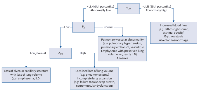 Technical Standard on Interpretive Strategies for Routine Lung Function Tests