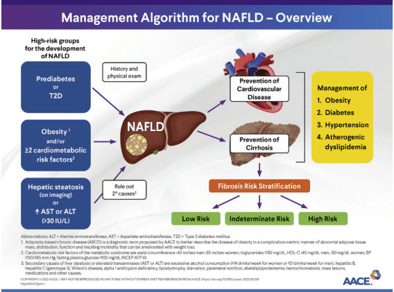 Summary : This flowchart presents the management algorithm for Nonalcoholic Fatty Liver Disease (NAFLD), highlighting risk groups, diagnostic steps, and management priorities.
flowchart:
# High-Risk Groups for NAFLD :
• Prediabetes or Type 2 Diabetes (T2D) (rectangle)
• Obesity (adiposity-based chronic disease) and/or ≥2 cardiometabolic risk factors (rectangle)
• Hepatic steatosis (on imaging) or elevated AST or ALT (>30 IU/L) (rectangle)
# Initial Assessment :
• History and physical exam (rectangle)
• Rule out secondary causes (rectangle)
# Central Node :
• NAFLD (liver illustration, central node)
# Management Pathways :
• Prevention of Cardiovascular Disease (rectangle, heart illustration)
• Prevention of Cirrhosis (rectangle, cirrhotic liver illustration)
• Management of:
1. Obesity
2. Diabetes
3. Hypertension
4. Atherogenic dyslipidemia (yellow box)
# Fibrosis Risk Stratification :
• Low Risk (green box)
• Indeterminate Risk (yellow box)
• High Risk (red box)
# Connectors :
• Arrows from high-risk group boxes to NAFLD central node.
• Arrows from NAFLD to history/physical exam, rule out secondary causes, prevention of cardiovascular disease, prevention of cirrhosis, and management box.
• Arrow from NAFLD to fibrosis risk stratification, which branches into low, indeterminate, and high risk.
# Layout :
• Flow is left-to-right and top-to-bottom, starting with risk groups, moving to NAFLD diagnosis, then branching to management and risk stratification.
• Visual illustrations (liver, heart, cirrhotic liver) enhance key nodes.
# Abbreviations & Footnotes :
• ALT: Alanine aminotransferase; AST: Aspartate aminotransferase; T2D: Type 2 diabetes mellitus.
• Footnotes clarify definitions for obesity, cardiometabolic risk factors, and secondary causes of liver enzyme elevation.
# Analysis :
• The algorithm emphasizes early identification of high-risk individuals, exclusion of secondary causes, and stratification by fibrosis risk.
• Management focuses on metabolic comorbidities and prevention of cardiovascular and liver-related complications.
• The flowchart visually organizes the stepwise approach to NAFLD care, integrating risk assessment and targeted interventions.