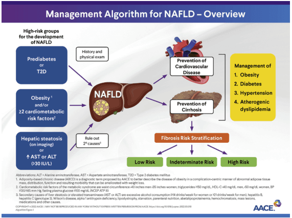 Summary : This flowchart presents an overview of the management algorithm for Nonalcoholic Fatty Liver Disease (NAFLD), highlighting high-risk groups, diagnostic steps, risk stratification, and management priorities.
flowchart:
# High-Risk Groups :
• Prediabetes or T2D (rectangle)
• Obesity¹ or ≥2 cardiometabolic risk factors² (rectangle)
• Hepatic steatosis (on imaging) or ↑ AST or ALT (>30 IU/L) (rectangle)
# Diagnostic Steps :
• History and physical exam (arrow from high-risk groups to NAFLD)
• Rule out 2° causes³ (rectangle, arrow from hepatic steatosis to this node)
# Central Node :
• NAFLD (liver illustration, central node)
# Management Pathways :
• Prevention of Cardiovascular Disease (rectangle, arrow from NAFLD)
• Prevention of Cirrhosis (rectangle, arrow from NAFLD)
• Management of:
1. Obesity
2. Diabetes
3. Hypertension
4. Atherogenic dyslipidemia (list, right side)
# Fibrosis Risk Stratification :
• Fibrosis Risk Stratification (rectangle, arrow from NAFLD)
• Low Risk (green rectangle, arrow from stratification)
• Indeterminate Risk (yellow rectangle, arrow from stratification)
• High Risk (red rectangle, arrow from stratification)
# Connectors :
• Arrows connect high-risk groups to NAFLD via history/physical exam and diagnostic steps.
• Arrows from NAFLD to prevention and management nodes.
• Arrows from NAFLD to fibrosis risk stratification, then to risk categories.
# Layout :
• Left column: high-risk groups and diagnostic steps.
• Center: NAFLD as the main node.
• Right: management priorities and prevention.
• Bottom: fibrosis risk stratification and risk categories.
# Footnotes :
• ¹ Adiposity-based chronic disease (ABCD) definition.
• ² Cardiometabolic risk factors: waist circumference, triglycerides, HDL-C, BP, fasting glucose.
• ³ Secondary causes: alcohol, hepatitis B/C, Wilson’s disease, etc.
Analysis :
• The algorithm emphasizes identifying high-risk individuals, confirming NAFLD, ruling out secondary causes, and stratifying fibrosis risk to guide management.
• Management focuses on preventing cardiovascular disease and cirrhosis, and controlling obesity, diabetes, hypertension, and dyslipidemia.
• The flowchart is linear with branching for risk stratification, supporting a stepwise clinical approach.