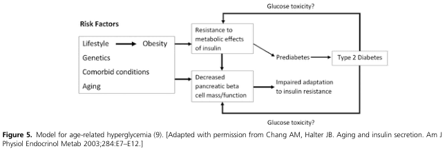 Summary : This flowchart presents a model for age-related hyperglycemia, illustrating how various risk factors contribute to insulin resistance, decreased pancreatic beta cell function, and ultimately the development of prediabetes and type 2 diabetes.
flowchart:
# Risk Factors :
• Lifestyle
• Genetics
• Comorbid conditions
• Aging
• Obesity (resulting from lifestyle)
# Nodes :
• Resistance to metabolic effects of insulin (rectangle)
• Decreased pancreatic beta cell mass/function (rectangle)
• Prediabetes (rectangle)
• Impaired adaptation to insulin resistance (rectangle)
• Type 2 Diabetes (rectangle)
# Connectors :
• Risk factors (lifestyle, genetics, comorbid conditions, aging) point to both "Resistance to metabolic effects of insulin" and "Decreased pancreatic beta cell mass/function".
• "Obesity" (from lifestyle) also points to "Resistance to metabolic effects of insulin".
• "Resistance to metabolic effects of insulin" leads to "Prediabetes".
• "Decreased pancreatic beta cell mass/function" leads to "Impaired adaptation to insulin resistance".
• "Impaired adaptation to insulin resistance" leads to "Prediabetes".
• "Prediabetes" leads to "Type 2 Diabetes".
• "Type 2 Diabetes" has arrows looping back to both "Resistance to metabolic effects of insulin" and "Decreased pancreatic beta cell mass/function", labeled "Glucose toxicity?".
# Layout :
• Left column: Risk factors listed in a box.
• Middle column: Two parallel nodes ("Resistance to metabolic effects of insulin" and "Decreased pancreatic beta cell mass/function").
• Right column: "Prediabetes" leading to "Type 2 Diabetes".
• Lower middle: "Impaired adaptation to insulin resistance" connects "Decreased pancreatic beta cell mass/function" to "Prediabetes".
• Feedback loops from "Type 2 Diabetes" to both upstream nodes.
# Analysis :
• The diagram shows a cyclical and progressive pathway: risk factors increase insulin resistance and decrease beta cell function, leading to prediabetes and type 2 diabetes.
• Feedback loops suggest that glucose toxicity from diabetes can further worsen insulin resistance and beta cell dysfunction, creating a vicious cycle.
• The model highlights the multifactorial nature of age-related hyperglycemia, with both genetic and lifestyle components, and the central role of impaired insulin adaptation.