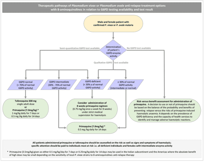 Summary : This flowchart outlines the therapeutic pathways for treating Plasmodium vivax or Plasmodium ovale malaria with 8-aminoquinolines (primaquine and tafenoquine), based on the availability and results of G6PD (glucose-6-phosphate dehydrogenase) enzyme activity testing. It details decision points for drug selection and dosing, considering patient risk for haemolysis.
flowchart:
# Nodes :
• Start (rectangle): "Male and female patient with confirmed P. vivax or P. ovale malaria"
• Decision (diamond): "Determination of patient's G6PD enzyme activity"
• Branch: "Semi-quantitative G6PD test available" and "No G6PD test available"
• Decision (diamond, left branch): "G6PD normal (> 70% of normal G6PD activity)"
• Decision (diamond, left branch): "G6PD intermediate (30% - 70% of normal G6PD activity)"
• Decision (diamond, left branch): "G6PD deficient (< 30% of normal G6PD activity)"
• Decision (diamond, middle branch): "Qualitative G6PD test available"
• Decision (diamond, middle branch): "≥ 30% of normal G6PD activity (intermediate or normal)"
• Action (rectangle, left): "Tafenoquine 300 mg single adult dose or Primaquine (7.0mg/kg)* 1 mg/kg daily for 7 days or 0.5 mg/kg daily for 14 days"
• Action (rectangle, left): "Primaquine (7.0mg/kg)* 0.5 mg/kg daily for 14 days"
• Action (rectangle, middle): "Consider administration of 8 weeks primaquine regimen (0.75 mg/kg once a week for 8 weeks) under strict medical supervision for haemolysis"
• Action (rectangle, right): "Risk versus benefit assessment for administration of primaquine"
• Note (rectangle, bottom): "All patients administered primaquine or tafenoquine should be counselled on the risk as well as signs and symptoms of haemolysis; specific attention should be paid to individuals most at risk i.e. all deficient individuals and females with intermediate enzyme activity"
• Footnote (rectangle, bottom): "* Primaquine (3.5mg/kg) given as either 0.5 mg/kg/day for 7 days or 0.25mg/kg/day for 14 days may be used in the Indian subcontinent and the Americas where the absolute benefit of high dose may be small depending on the sensitivity of local P. vivax strains to 8-aminoquinolines anti-relapse therapy"
# Connectors :
• The flow starts from the top node and splits into two main branches: "Semi-quantitative G6PD test available" and "No G6PD test available".
• The "Semi-quantitative" branch further splits into three based on G6PD activity: normal, intermediate, and deficient.
• The "Qualitative G6PD test available" branch leads to a decision node for ≥ 30% of normal activity.
• Each activity level leads to specific drug recommendations or risk assessment.
• Arrows are unidirectional, guiding the user through decision points to treatment options.
• The bottom note applies to all branches.
# Layout :
• The chart is organized horizontally, with the initial patient node at the top center.
• Decision nodes branch left and right, with treatment options below each.
• The bottom contains a wide note spanning all branches.
• Colour coding: purple for decision nodes, green for treatment/action nodes, grey for notes.
# Analysis :
• The flowchart provides a clear, stepwise approach to anti-relapse therapy for P. vivax or P. ovale malaria, emphasizing the importance of G6PD testing to minimize the risk of drug-induced haemolysis.
• Patients with normal or intermediate G6PD activity are eligible for tafenoquine or primaquine, with dosing adjusted for intermediate activity.
• G6PD-deficient patients require strict medical supervision if primaquine is considered.
• Where G6PD testing is unavailable, the decision to use primaquine is based on a risk-benefit assessment, highlighting the need for careful clinical judgment.
• The chart stresses patient counseling and monitoring for haemolysis, especially in high-risk groups.