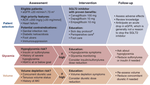 Summary : This figure presents a structured approach for the selection, intervention, and follow-up of patients considered for SGLT2 inhibitor therapy, with attention to patient selection, glycemia, and volume status. It is organized as a three-column flowchart covering assessment, intervention, and follow-up, with three horizontal sections for patient selection, glycemia, and volume.