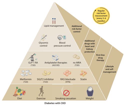 Summary : This figure presents a pyramid-based treatment algorithm for managing diabetes in patients with chronic kidney disease (CKD), highlighting a stepwise approach from lifestyle interventions to advanced pharmacological therapies, with regular risk factor reassessment every 3–6 months.
pyramid diagram:
# Overall Structure :
• The diagram is a pyramid divided into horizontal layers, each representing a different level of intervention for diabetes with CKD.
• The left side of the pyramid shows the progression from lifestyle/self-management at the base to additional risk factor control at the apex.
• The right side labels the layers as "Lifestyle and self-management," "First-line drug therapy," "Additional drugs with heart and kidney protection," and "Additional risk factor control."
• A yellow circle at the top right states: "Regular risk factor reassessment (every 3–6 months)."
# Lifestyle and Self-Management (Base Layer) :
• Diet (depicted with fruits and vegetables)
• Exercise (person running)
• Smoking cessation (cigarette with a red cross)
• Weight (scale)
# First-Line Drug Therapy (Second Layer) :
• Metformin (T2D) (white pills)
• SGLT2 inhibitor (T2D) (yellow pills)
• RAS blockade (HTN) (red pills)
• Statin (orange pills)
# Additional Drugs with Heart and Kidney Protection (Third Layer) :
• GLP-1 RA (T2D) (injector pen)
• Antiplatelet therapies (ASCVD) (blue pills)
• ns-MRA (T2D) (beige pills)
# Additional Risk Factor Control (Fourth Layer) :
• Glycemic control (insulin syringe and glucose meter)
• Blood pressure control (blood pressure cuff)
• Lipid management (test tubes)
# Design Encodings :
• Each intervention is represented with a relevant icon (food, exercise, pills, medical devices).
• The pyramid structure visually prioritizes foundational lifestyle changes, followed by pharmacological interventions.
• Acronyms: T2D (Type 2 Diabetes), HTN (Hypertension), ASCVD (Atherosclerotic Cardiovascular Disease), ns-MRA (non-steroidal Mineralocorticoid Receptor Antagonist), GLP-1 RA (Glucagon-like Peptide-1 Receptor Agonist).
# Analysis :
• The pyramid visually emphasizes the importance of lifestyle and self-management as the foundation for diabetes and CKD care.
• Pharmacological therapies are layered above lifestyle interventions, with first-line drugs followed by additional agents for heart and kidney protection.
• The apex focuses on controlling additional risk factors, suggesting a comprehensive, multi-modal approach.
• The regular risk factor reassessment (every 3–6 months) highlights the need for ongoing monitoring and adjustment of therapy.
• The structure suggests a stepwise escalation of care, starting with lifestyle, then adding medications as needed for optimal management.