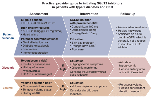 Summary : This figure provides a practical provider guide for initiating SGLT2 inhibitors in patients with type 2 diabetes and chronic kidney disease (CKD), structured into three main domains: patient selection, glycemia, and volume, each with assessment, intervention, and follow-up steps.