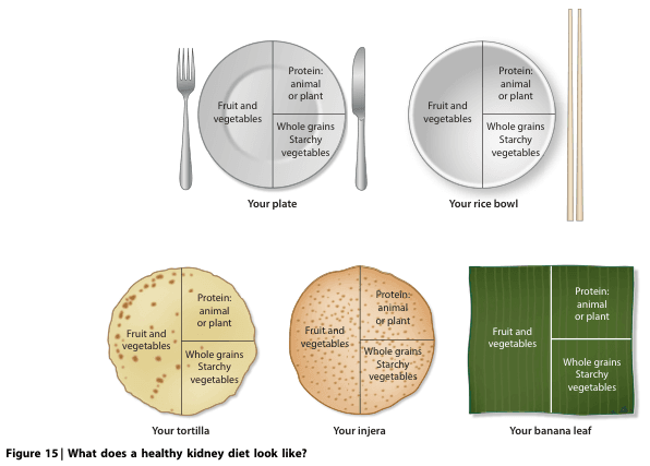 Summary : This figure illustrates what a healthy kidney diet looks like by showing recommended proportions of food groups on different types of serving vessels or bases (plate, rice bowl, tortilla, injera, banana leaf).
diagram:
# Serving Vessels :
• Your plate (with fork and knife)
• Your rice bowl (with chopsticks)
• Your tortilla
• Your injera
• Your banana leaf
# Food Group Proportions :
• Each vessel/base is divided into three sections:
– Fruit and vegetables (approximately half the area)
– Protein: animal or plant (approximately one quarter)
– Whole grains / starchy vegetables (approximately one quarter)
# Section Labels :
• Fruit and vegetables
• Protein: animal or plant
• Whole grains / starchy vegetables
# Visual Encoding :
• All vessels/bases are shown as circles except the banana leaf, which is rectangular.
• Each section is visually separated by lines.
• The utensils (fork/knife, chopsticks) are shown next to the plate and rice bowl, respectively.
# Caption Text :
• Figure 15 | What does a healthy kidney diet look like?
Analysis :
• The figure communicates that regardless of the serving vessel or cultural food base, a healthy kidney diet should consist of roughly half fruit and vegetables, with the remaining half split between protein and whole grains/starchy vegetables. This visual standardisation supports dietary guidance across diverse eating traditions.