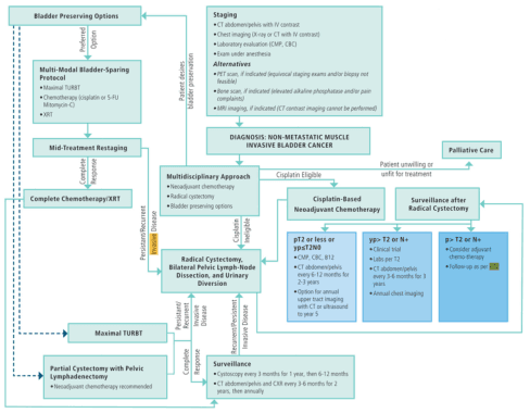 Summary : This flowchart outlines the clinical management pathway for non-metastatic muscle invasive bladder cancer, detailing staging, multidisciplinary approaches, treatment options (including bladder preservation, chemotherapy, surgery), and post-treatment surveillance or palliative care.
