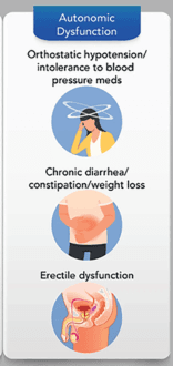 Summary : This illustration summarizes key symptoms of autonomic dysfunction, highlighting orthostatic hypotension/intolerance to blood pressure medications, chronic gastrointestinal issues, and erectile dysfunction.
illustration:
# Title & Main Text :
• Title: "Autonomic Dysfunction" (blue header).
• Symptom 1: "Orthostatic hypotension/intolerance to blood pressure meds".
• Symptom 2: "Chronic diarrhea/constipation/weight loss".
• Symptom 3: "Erectile dysfunction".
# Visual Elements :
• Symptom 1: Cartoon of a person holding their head, surrounded by swirling lines indicating dizziness.
• Symptom 2: Illustration of a person holding their abdomen, suggesting gastrointestinal discomfort.
• Symptom 3: Diagram of male pelvic anatomy, highlighting erectile dysfunction.
# Layout :
• Vertical arrangement: Title at top, followed by three symptom sections, each with corresponding illustration and text.
• Each symptom is paired with a circular icon-style illustration.
# Analysis :
• The figure visually organizes and emphasizes three major symptom domains of autonomic dysfunction: cardiovascular (orthostatic hypotension), gastrointestinal (chronic diarrhea/constipation/weight loss), and genitourinary (erectile dysfunction).
• The use of distinct icons and clear text aids rapid recognition of symptom clusters associated with autonomic dysfunction.
