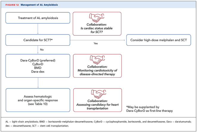 Summary : This flowchart outlines the management of AL (light-chain) amyloidosis, focusing on treatment pathways, candidacy for stem cell transplantation (SCT), and the importance of multidisciplinary collaboration, especially regarding cardiac status and transplantation options.
flowchart:
# Nodes :
• Treatment of AL amyloidosis (rectangle)
• Collaboration: Is cardiac status stable for SCT? (rounded rectangle, handshake icon)
• Candidate for SCT?* (rectangle)
• Yes branch: Consider high-dose melphalan and SCT (rectangle)
• No branch: Dara-CyBorD (preferred), CyBorD, BMD, Dara-dex (rectangle)
• Collaboration: Monitoring cardiotoxicity of disease-directed therapy (rounded rectangle, handshake icon)
• Assess hematologic and organ-specific response (rectangle)
• Collaboration: Assessing candidacy for heart transplantation (rounded rectangle, handshake icon)
• Footnote: *May be supplanted by Dara-CyBorD as first-line therapy (text box)
• Abbreviations: AL, BMD, CyBorD, Dara, dex, SCT (text box)
# Connectors :
• Downward arrows from "Treatment of AL amyloidosis" to "Candidate for SCT?*"
• Rightward arrow from "Candidate for SCT?*" (Yes) to "Consider high-dose melphalan and SCT"
• Downward arrow from "Candidate for SCT?*" (No) to "Dara-CyBorD (preferred), CyBorD, BMD, Dara-dex"
• Downward arrow from therapy options to "Assess hematologic and organ-specific response"
• Collaboration nodes are placed adjacent to decision points and therapy steps, indicating multidisciplinary input at each stage.
# Layout :
• Vertical flow from top to bottom, with a rightward branch for SCT candidacy.
• Collaboration nodes are visually highlighted with handshake icons and red text, placed beside key decision or assessment steps.
• Footnotes and abbreviations are at the bottom of the chart.
# Analysis :
• The flowchart emphasises a decision point based on SCT candidacy, which is determined by cardiac status.
• If eligible, patients are considered for high-dose melphalan and SCT; if not, alternative therapies (Dara-CyBorD, CyBorD, BMD, Dara-dex) are used.
• Collaboration with cardiology and transplant teams is integral at multiple steps, especially for monitoring cardiotoxicity and assessing heart transplantation candidacy.
• The chart highlights the evolving role of Dara-CyBorD as a preferred or first-line therapy.
• The process is linear with a single major branch, and collaboration is visually and procedurally central to patient management.