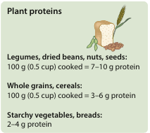Summary : This figure presents the protein content of various plant-based food groups, including legumes, dried beans, nuts, seeds, whole grains, cereals, starchy vegetables, and breads, with specific values given per 100 g (0.5 cup) cooked.
illustration:
Scene Overview :
• Main subject is a visual grouping of plant-based foods: a loaf of bread, wheat stalk, beans, and seeds.
• The illustration is simple, with muted colours and no background details.
Technical Details :
• No scale bar or magnification.
• No on-image UI elements or text beyond the food names.
Spatial Relationships :
• Foods are clustered together in the upper right of the figure, with bread in the foreground and wheat, beans, and seeds surrounding it.
Data Summary :
# Plant Proteins :
• Legumes, dried beans, nuts, seeds: 100 g (0.5 cup) cooked = 7–10 g protein.
• Whole grains, cereals: 100 g (0.5 cup) cooked = 3–6 g protein.
• Starchy vegetables, breads: 2–4 g protein.
Analysis :
• Legumes, dried beans, nuts, and seeds provide the highest protein content per 100 g cooked (7–10 g).
• Whole grains and cereals offer moderate protein (3–6 g per 100 g cooked).
• Starchy vegetables and breads are the lowest in protein (2–4 g per 100 g).
• The figure visually and textually categorises plant-based foods by their protein content, aiding quick comparison.