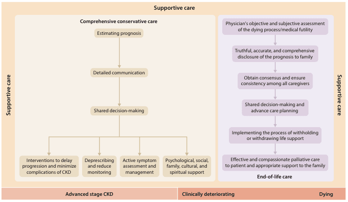 Summary : This figure presents a dual-pathway flowchart outlining supportive care for patients with advanced stage chronic kidney disease (CKD), clinical deterioration, and dying, distinguishing between comprehensive conservative care and end-of-life care processes.
flowchart:
# Comprehensive Conservative Care Pathway (Left Panel) :
Nodes :
• Comprehensive conservative care (rectangle)
• Estimating prognosis (rectangle)
• Detailed communication (rectangle)
• Shared decision-making (rectangle)
• Interventions to delay progression and minimize complications of CKD (rectangle)
• Deprescribing and reduce monitoring (rectangle)
• Active symptom assessment and management (rectangle)
• Psychological, social, family, cultural, and spiritual support (rectangle)
Connectors :
• Downward arrows connect each step sequentially: Comprehensive conservative care → Estimating prognosis → Detailed communication → Shared decision-making.
• From Shared decision-making, four parallel arrows branch to the four supportive interventions listed above.
Layout :
• Vertical sequence for initial steps, then horizontal branching to four parallel end-nodes.
# End-of-life Care Pathway (Right Panel) :
Nodes :
• Physician's objective and subjective assessment of the dying process/medical futility (rectangle)
• Truthful, accurate, and comprehensive disclosure of the prognosis to family (rectangle)
• Obtain consensus and ensure consistency among all caregivers (rectangle)
• Shared decision-making and advance care planning (rectangle)
• Implementing the process of withholding or withdrawing life support (rectangle)
• Effective and compassionate palliative care to patient and appropriate support to the family (rectangle)
Connectors :
• Downward arrows connect each step sequentially from assessment to palliative care.
Layout :
• Vertical sequence of six steps, all in a single column.
# Timeline and Context :
• The bottom of the figure shows a horizontal bar divided into three stages: "Advanced stage CKD" (left, under conservative care), "Clinically deteriorating" (middle), and "Dying" (right, under end-of-life care).
• Both pathways are labeled as "Supportive care" on the vertical axis, with "End-of-life care" specifically noted at the bottom of the right panel.
# Analysis :
• The figure visually distinguishes two main supportive care approaches for CKD patients: a proactive, multi-faceted conservative care pathway for advanced CKD, and a structured, consensus-driven end-of-life care pathway for dying patients.
• Both pathways emphasize shared decision-making, communication, and support, but the left focuses on ongoing management and symptom control, while the right centers on palliative measures and family support during the dying process.
• The timeline at the bottom clarifies the transition from advanced CKD through clinical deterioration to dying, mapping each care approach to the appropriate disease stage.