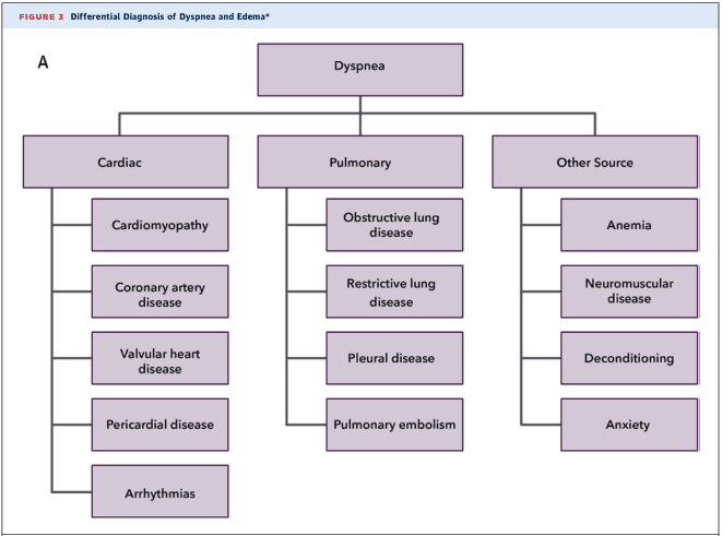 Summary : This figure presents a differential diagnosis flowchart for dyspnea, categorizing possible causes into cardiac, pulmonary, and other sources, and further subdividing each category into specific conditions.
flowchart:
# Nodes :
• Dyspnea (rectangle, top-level)
• Cardiac (rectangle, second-level, left branch)
– Cardiomyopathy (rectangle)
– Coronary artery disease (rectangle)
– Valvular heart disease (rectangle)
– Pericardial disease (rectangle)
– Arrhythmias (rectangle)
• Pulmonary (rectangle, second-level, middle branch)
– Obstructive lung disease (rectangle)
– Restrictive lung disease (rectangle)
– Pleural disease (rectangle)
– Pulmonary embolism (rectangle)
• Other Source (rectangle, second-level, right branch)
– Anemia (rectangle)
– Neuromuscular disease (rectangle)
– Deconditioning (rectangle)
– Anxiety (rectangle)
# Connectors :
• Dyspnea splits into three branches: Cardiac, Pulmonary, Other Source.
• Cardiac connects downward to five conditions: Cardiomyopathy, Coronary artery disease, Valvular heart disease, Pericardial disease, Arrhythmias.
• Pulmonary connects downward to four conditions: Obstructive lung disease, Restrictive lung disease, Pleural disease, Pulmonary embolism.
• Other Source connects downward to four conditions: Anemia, Neuromuscular disease, Deconditioning, Anxiety.
# Layout :
• Hierarchical, top-down arrangement.
• Three main branches (Cardiac, Pulmonary, Other Source) horizontally aligned under Dyspnea.
• Each branch fans out vertically to its respective subcategories.
# Analysis :
• The flowchart organizes the differential diagnosis of dyspnea into three major etiological categories, each with multiple specific conditions.
• Cardiac causes are the most numerous, with five subtypes.
• Pulmonary causes are divided into disease types and embolism.
• Other sources include systemic, neuromuscular, physical conditioning, and psychological factors.
• The structure aids clinicians in systematically considering a broad range of possible diagnoses for dyspnea.