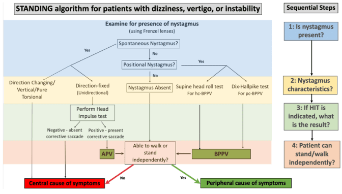 Summary : This figure presents the STANDING algorithm for evaluating patients with dizziness, vertigo, or instability, focusing on the presence and characteristics of nystagmus to differentiate between central and peripheral causes of symptoms.
flowchart:
# Main Algorithm :
• Title: "STANDING algorithm for patients with dizziness, vertigo, or instability"
• Initial step: "Examine for presence of nystagmus (using Frenzel lenses)"
• First decision: "Spontaneous Nystagmus?" (Yes/No)
• If Yes:
– "Direction Changing/Vertical/Pure Torsional" → "Central cause of symptoms" (red box)
– "Direction-fixed (Unidirectional)" → "Perform Head Impulse test"
• "Negative - absent corrective saccade" → "Central cause of symptoms" (red box)
• "Positive - present corrective saccade" → "APV" → "Able to walk or stand independently?"
– No → "Central cause of symptoms" (red box)
– Yes → "Peripheral cause of symptoms" (green box)
• If No:
– "Positional Nystagmus?" (Yes/No)
• If Yes:
– "Supine head roll test for hc-BPPV" → "BPPV" (green box)
– "Dix-Hallpike test for pc-BPPV" → "BPPV" (green box)
• If No:
– "Nystagmus Absent" → "Able to walk or stand independently?"
– No → "Central cause of symptoms" (red box)
– Yes → "Peripheral cause of symptoms" (green box)
# Sequential Steps (Right Panel) :
• Step 1: "Is nystagmus present?" (blue box)
• Step 2: "Nystagmus characteristics?" (yellow box)
• Step 3: "If HIT is indicated, what is the result?" (green box)
• Step 4: "Patient can stand/walk independently?" (orange box)
# Node List :
• "Examine for presence of nystagmus" (rectangle)
• "Spontaneous Nystagmus?" (diamond)
• "Direction Changing/Vertical/Pure Torsional" (rectangle)
• "Direction-fixed (Unidirectional)" (rectangle)
• "Perform Head Impulse test" (rectangle)
• "Negative - absent corrective saccade" (rectangle)
• "Positive - present corrective saccade" (rectangle)
• "APV" (rectangle)
• "Able to walk or stand independently?" (diamond)
• "Central cause of symptoms" (red rectangle)
• "Peripheral cause of symptoms" (green rectangle)
• "Positional Nystagmus?" (diamond)
• "Nystagmus Absent" (rectangle)
• "Supine head roll test for hc-BPPV" (rectangle)
• "Dix-Hallpike test for pc-BPPV" (rectangle)
• "BPPV" (green rectangle)
# Connectors :
• Arrows indicate flow from one decision or test to the next.
• Branches split at decision diamonds (Yes/No).
• Red arrows lead to "Central cause of symptoms".
• Green arrows lead to "Peripheral cause of symptoms".
# Layout :
• The main algorithm is arranged horizontally, with decision points branching left and right.
• The sequential steps are listed vertically on the right side of the figure.
# Colour Coding :
• Blue background for initial examination.
• Yellow for nystagmus characteristics.
• Green for peripheral cause outcomes.
• Red for central cause outcomes.
• Sequential steps use blue, yellow, green, and orange boxes.
# Analysis :
• The algorithm provides a structured approach to differentiate central from peripheral causes of dizziness based on nystagmus presence, characteristics, head impulse test results, and the patient's ability to stand or walk independently.
• Central causes are flagged by direction-changing/vertical/torsional nystagmus, absent corrective saccades, or inability to stand/walk.
• Peripheral causes are indicated by unidirectional nystagmus with positive head impulse test, positional nystagmus, or ability to stand/walk.
• The flowchart ensures systematic assessment and triage of patients with vertigo or instability.