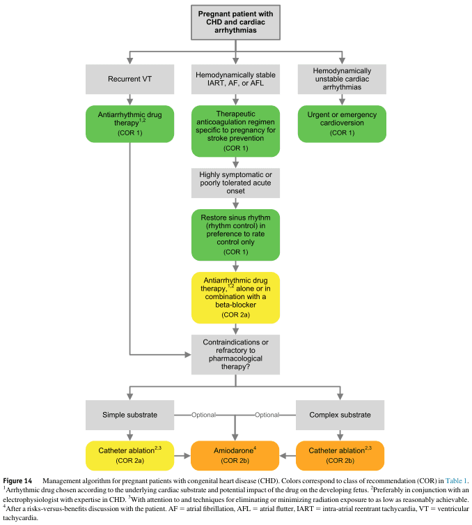 Summary : This flowchart presents a management algorithm for pregnant patients with congenital heart disease (CHD) and cardiac arrhythmias, outlining decision pathways based on arrhythmia type and hemodynamic stability, with recommendations for drug therapy, cardioversion, and ablation.
flowchart:
# Nodes :
• Start (rectangle): "Pregnant patient with CHD and cardiac arrhythmias"
• Decision (rectangle): "Recurrent VT"
• Decision (rectangle): "Hemodynamically stable IART, AF, or AFL"
• Decision (rectangle): "Hemodynamically unstable cardiac arrhythmias"
• Action (rounded rectangle, green): "Antiarrhythmic drug therapy¹,² (COR 1)"
• Action (rounded rectangle, green): "Therapeutic anticoagulation regimen specific to pregnancy for stroke prevention (COR 1)"
• Action (rounded rectangle, green): "Urgent or emergency cardioversion (COR 1)"
• Decision (rectangle): "Highly symptomatic or poorly tolerated acute onset"
• Action (rounded rectangle, green): "Restore sinus rhythm (rhythm control) in preference to rate control only (COR 1)"
• Action (rounded rectangle, yellow): "Antiarrhythmic drug therapy¹,² alone or in combination with a beta-blocker (COR 2a)"
• Decision (rectangle): "Contraindications or refractory to pharmacological therapy?"
• Substrate type (rectangle): "Simple substrate"
• Substrate type (rectangle): "Complex substrate"
• Optional (rectangle): "Optional"
• Action (rounded rectangle, orange): "Catheter ablation²,³ (COR 2a)"
• Action (rounded rectangle, orange): "Amiodarone⁴ (COR 2b)"
• Action (rounded rectangle, orange): "Catheter ablation²,³ (COR 2b)"
# Connectors :
• Downward arrows connect each node in sequence, with branches for arrhythmia type and stability.
• "Pregnant patient with CHD and cardiac arrhythmias" splits into three branches: "Recurrent VT", "Hemodynamically stable IART, AF, or AFL", and "Hemodynamically unstable cardiac arrhythmias".
• "Recurrent VT" leads to "Antiarrhythmic drug therapy¹,² (COR 1)".
• "Hemodynamically stable IART, AF, or AFL" leads to "Therapeutic anticoagulation regimen specific to pregnancy for stroke prevention (COR 1)", then to "Highly symptomatic or poorly tolerated acute onset", then to "Restore sinus rhythm (rhythm control) in preference to rate control only (COR 1)", then to "Antiarrhythmic drug therapy¹,² alone or in combination with a beta-blocker (COR 2a)", then to "Contraindications or refractory to pharmacological therapy?".
• "Hemodynamically unstable cardiac arrhythmias" leads directly to "Urgent or emergency cardioversion (COR 1)".
• "Contraindications or refractory to pharmacological therapy?" splits into "Simple substrate" and "Complex substrate".
• "Simple substrate" leads to "Catheter ablation²,³ (COR 2a)" and optionally to "Amiodarone⁴ (COR 2b)".
• "Complex substrate" leads to "Catheter ablation²,³ (COR 2b)".
# Layout :
• Top-down hierarchical flowchart with three main branches from the starting node.
• Colour coding: green (COR 1), yellow (COR 2a), orange (COR 2a/2b), grey for decision nodes and substrate types.
• Optional steps indicated by "Optional" nodes.
• Explanatory footnotes and abbreviations provided below the chart.
# Analysis :
• The flowchart prioritises antiarrhythmic drug therapy and stroke prevention for stable arrhythmias, with urgent cardioversion for unstable cases.
• Rhythm control is preferred over rate control in symptomatic cases.
• Catheter ablation is considered for refractory cases, with amiodarone as an option after risk-benefit discussion.
• The algorithm is structured to minimise fetal risk and tailor therapy to arrhythmia type and patient stability.
• Colour coding visually distinguishes recommendation strength (COR 1, 2a, 2b).
