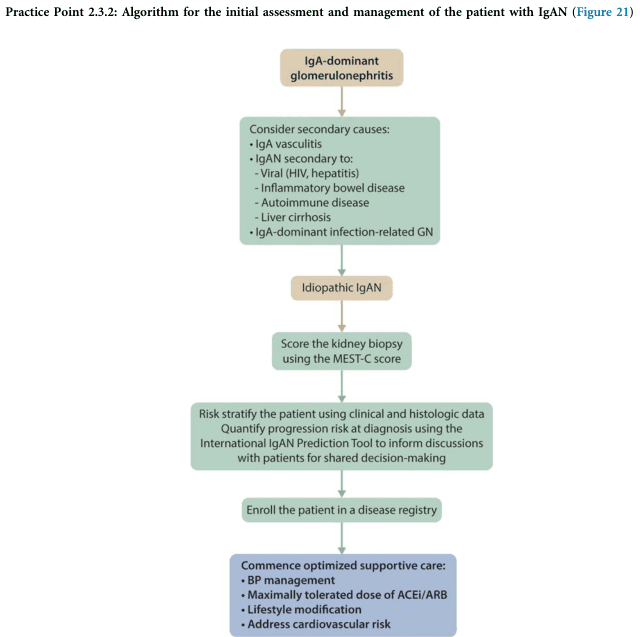 Summary : This flowchart presents the initial assessment and management algorithm for patients with IgA nephropathy (IgAN), guiding clinicians through differential diagnosis, risk stratification, and supportive care steps.
flowchart:
# Nodes :
• Start: "IgA-dominant glomerulonephritis" (rounded rectangle)
• "Consider secondary causes: • IgA vasculitis • IgAN secondary to: - Viral (HIV, hepatitis) - Inflammatory bowel disease - Autoimmune disease - Liver cirrhosis • IgA-dominant infection-related GN" (rectangle)
• "Idiopathic IgAN" (rounded rectangle)
• "Score the kidney biopsy using the MEST-C score" (rectangle)
• "Risk stratify the patient using clinical and histologic data Quantify progression risk at diagnosis using the International IgAN Prediction Tool to inform discussions with patients for shared decision-making" (rectangle)
• "Enroll the patient in a disease registry" (rectangle)
• "Commence optimized supportive care: • BP management • Maximally tolerated dose of ACEi/ARB • Lifestyle modification • Address cardiovascular risk" (rectangle, blue background)
# Connectors :
• All nodes are connected by downward-pointing arrows in a single linear sequence.
• No branches, loops, or merges are present.
# Layout :
• Vertically stacked, single-column flowchart.
• Each step follows sequentially from top to bottom.
# Analysis :
• The flowchart provides a systematic approach for clinicians to evaluate patients with IgA-dominant glomerulonephritis, beginning with exclusion of secondary causes, confirming idiopathic IgAN, scoring biopsy findings, risk stratification, registry enrollment, and initiation of evidence-based supportive care. The process is strictly linear, emphasizing stepwise decision-making and comprehensive management.
