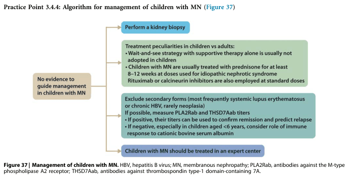 Summary : This flowchart presents an algorithm for the management of children with membranous nephropathy (MN), outlining diagnostic steps, treatment peculiarities, exclusion of secondary causes, and recommendations for expert center referral.
flowchart:
# Nodes :
• Start (rectangle): "No evidence to guide management in children with MN"
• Step 1 (rounded rectangle): "Perform a kidney biopsy"
• Step 2 (rounded rectangle): "Treatment peculiarities in children vs adults"
– Bullets within node:
• Wait-and-see strategy with supportive therapy alone is usually not adopted in children
• Children with MN are usually treated with prednisone for at least 8–12 weeks at doses used for idiopathic nephrotic syndrome
• Rituximab or calcineurin inhibitors are also employed at standard doses
• Step 3 (rounded rectangle): "Exclude secondary forms (most frequently systemic lupus erythematosus or chronic HBV, rarely neoplasia)"
– Bullets within node:
• If possible, measure PLA2Rab and THSD7Aab titers
• If positive, their titers can be used to confirm remission and predict relapse
• If negative, especially in children aged <6 years, consider role of immune response to cationic bovine serum albumin
• End (rounded rectangle): "Children with MN should be treated in an expert center"
# Connectors :
• Downward arrows connect each node sequentially from "No evidence..." to "Perform a kidney biopsy", then to "Treatment peculiarities...", then to "Exclude secondary forms...", and finally to "Children with MN should be treated in an expert center".
• No branching or decision diamonds; all steps are linear.
# Layout :
• Vertically stacked nodes, each in a rounded rectangle except the initial node ("No evidence...") which is a standard rectangle.
• Bulleted lists within two nodes provide detailed guidance.
• Flow proceeds top-to-bottom without branches.
# Analysis :
• The algorithm is linear, emphasizing a stepwise approach: begin with biopsy, tailor treatment for children, exclude secondary causes, and refer to expert centers.
• The chart highlights differences in pediatric management (no wait-and-see, use of prednisone, consideration of immune response in young children).
• Measurement of PLA2Rab and THSD7Aab titers is suggested for diagnosis and monitoring.
• The absence of evidence for management is explicitly noted, underscoring the need for expert involvement.