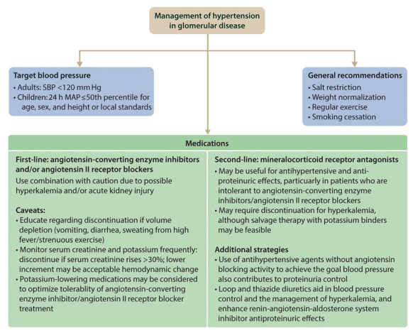 Summary : This flowchart outlines the management of hypertension in glomerular disease, detailing target blood pressure goals, general lifestyle recommendations, and a tiered medication strategy with specific caveats and additional strategies.
flowchart:
# Nodes :
• Management of hypertension in glomerular disease (rectangle, top central node)
• Target blood pressure (rectangle, left branch)
– Adults: SBP <120 mm Hg
– Children: 24 h MAP <50th percentile for age, sex, and height or local standards
• General recommendations (rectangle, right branch)
– Salt restriction
– Weight normalization
– Regular exercise
– Smoking cessation
• Medications (rectangle, central lower node)
– First-line: angiotensin-converting enzyme inhibitors and/or angiotensin II receptor blockers
• Use combination with caution due to possible hyperkalemia and/or acute kidney injury
• Caveats:
– Educate regarding discontinuation if volume depletion (vomiting, diarrhea, sweating from high fever/strenuous exercise)
– Monitor serum creatinine and potassium frequently; discontinue if serum creatinine rises >30%; lower increment may be acceptable hemodynamic change
– Potassium-lowering medications may be considered to optimize tolerability of angiotensin-converting enzyme inhibitor/angiotensin II receptor blocker treatment
– Second-line: mineralocorticoid receptor antagonists
• May be useful for antihypertensive and anti-proteinuric effects, particularly in patients who are intolerant to angiotensin-converting enzyme inhibitors/angiotensin II receptor blockers
• May require discontinuation for hyperkalemia, although salvage therapy with potassium binders may be feasible
– Additional strategies:
• Use of antihypertensive agents without angiotensin blocking activity to achieve the goal blood pressure also contributes to proteinuria control
• Loop and thiazide diuretics aid in blood pressure control and the management of hyperkalemia, and enhance renin-angiotensin-aldosterone system inhibitor antiproteinuric effects
# Connectors :
• Downward arrows from "Management of hypertension in glomerular disease" to "Target blood pressure", "General recommendations", and "Medications".
• "Medications" node branches into "First-line", "Second-line", and "Additional strategies" sections.
# Layout :
• Central top node ("Management of hypertension in glomerular disease") with three downward branches: left ("Target blood pressure"), right ("General recommendations"), and center ("Medications").
• "Medications" node is subdivided into first-line, second-line, and additional strategies, each with bullet-pointed details.
# Analysis :
• The flowchart provides a structured, stepwise approach to managing hypertension in glomerular disease, emphasizing both non-pharmacological and pharmacological interventions.
• It prioritizes angiotensin system blockers as first-line therapy, with careful monitoring for adverse effects, and offers alternatives and adjuncts for patients with intolerance or inadequate response.
• The chart highlights the importance of individualized care, monitoring, and lifestyle modification alongside medication.