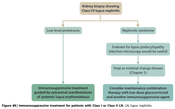Summary : This flowchart outlines the immunosuppressive treatment approach for patients with Class I or Class II lupus nephritis (LN) based on kidney biopsy findings, differentiating management according to the presence of low-level proteinuria or nephrotic syndrome.
flowchart:
# Nodes :
• Kidney biopsy showing Class I/II lupus nephritis (rounded rectangle, top/starting node)
• Low-level proteinuria (rectangle, left branch)
• Nephrotic syndrome (rectangle, right branch)
• Immunosuppressive treatment guided by extrarenal manifestations of systemic lupus erythematosus (rectangle, leftmost terminal node)
• Evaluate for lupus podocytopathy (electron microscopy would be useful) (rectangle, right branch, intermediate node)
• Treat as minimal change disease (Chapter 5) (rectangle, right branch, intermediate node)
• Consider maintenance combination therapy with low-dose glucocorticoid and another immunosuppressive agent (rectangle, rightmost terminal node)
# Connectors :
• Downward arrows from the starting node to two branches: "Low-level proteinuria" and "Nephrotic syndrome".
• From "Low-level proteinuria" → arrow to "Immunosuppressive treatment guided by extrarenal manifestations of systemic lupus erythematosus".
• From "Nephrotic syndrome" → arrow to "Evaluate for lupus podocytopathy (electron microscopy would be useful)".
• From "Evaluate for lupus podocytopathy" → arrow to "Treat as minimal change disease (Chapter 5)".
• From "Treat as minimal change disease" → arrow to "Consider maintenance combination therapy with low-dose glucocorticoid and another immunosuppressive agent".
# Layout :
• Top-down hierarchical structure.
• Initial node at the top, splitting into two parallel branches (left: low-level proteinuria; right: nephrotic syndrome).
• Left branch is a single-step pathway; right branch is a multi-step pathway with three sequential nodes.
• Terminal nodes at the bottom of each branch.
# Analysis :
• The flowchart distinguishes treatment based on proteinuria severity: low-level proteinuria leads to immunosuppression guided by extrarenal lupus activity, while nephrotic syndrome prompts evaluation for lupus podocytopathy, treatment as minimal change disease, and consideration of maintenance combination therapy.
• The right branch (nephrotic syndrome) involves more diagnostic and therapeutic steps, reflecting greater disease severity.
• The chart emphasizes the importance of extrarenal manifestations in guiding therapy for milder renal involvement.