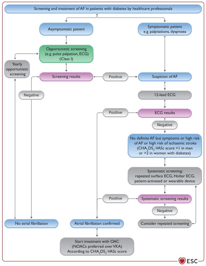 Summary : This flowchart outlines the recommended process for screening and treating atrial fibrillation (AF) in patients with diabetes, as advised for healthcare professionals. It details the steps for both asymptomatic and symptomatic patients, including screening methods, decision points, and treatment initiation based on results.