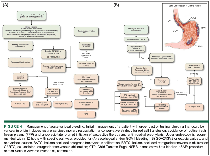 Summary : This figure presents two flowcharts (A and B) outlining the management of acute variceal bleeding in patients with portal hypertension, with specific pathways for esophageal/GOV1 bleeding (A) and GOV2/IGV2 or ectopic varices (B). An inset illustration shows the Sarin Classification of Gastric Varices.
flowchart:
# (A) Management of Acute Variceal Bleeding: Esophageal and/or GOV1 Bleeding
## Nodes :
• Acute gastrointestinal hemorrhage in patient with portal hypertension (rectangle)
• Airway protection / Cardiovascular resuscitation (rectangle)
• Restrictive transfusion, avoidance of FFP/platelet transfusion, vasoactive therapy, antimicrobial prophylaxis (rectangle)
• Upper endoscopy within 12 hours (rectangle)
• Bleeding esophageal or GOV1 varices (rectangle)
• Esophageal Band Ligation (rectangle)
• Hemostasis achieved? (diamond)
• Yes (arrow label)
• No (arrow label)
• Balloon tamponade (Minnesota, Linton, or Sengstaken-Blakemore Tube) / Esophageal stent (rectangle)
• Salvage TIPS (rectangle)
• Bleeding GOV2/IGV or ectopic varices (rectangle)
• GO TO FIGURE 5 (rectangle)
• Bleeding Portal Hypertensive Gastropathy (rectangle)
• CTP A-B7 or no active bleeding (rectangle)
• Best supportive care / Transplant (rectangle)
• CTP B8-9 with active bleeding or CTP C13 (rectangle)
• Pre-emptive TIPS (rectangle)
• Confirmation of varices (rectangle)
• Non-portal hypertension cause (rectangle)
• Discontinue vasoactive therapy (rectangle)
• Supportive care, start NSBB, repeat endoscopic therapy until obliteration (rectangle)
• Rebleeding (particularly within 6 weeks) (rectangle)
• Consider attempt at repeat EBL (rectangle)
• TIPS (rectangle)
## Connectors :
• Arrows indicate stepwise progression, with decision diamonds for hemostasis and CTP score-based branches.
• "Yes" and "No" branches from decision points.
• Feedback loop from "Rebleeding" to "Consider attempt at repeat EBL" and then to "TIPS".
## Layout :
• Top-down, left-to-right branching.
• Parallel tracks for esophageal/GOV1 vs. GOV2/IGV/ectopic varices.
• Decision points (diamonds) split into multiple management options.
# (B) Management of Acute Variceal Bleeding: GOV2/IGV2 or Ectopic Varices
## Nodes :
• Bleeding GOV2/IGV or ectopic varices (rectangle)
• Vascular Imaging if stable (rectangle)
• Local expertise in Endoscopic Cyanoacrylate Injection (diamond)
• Yes (arrow label)
• No (arrow label)
• Endoscopic Cyanoacrylate Injection ± Endoscopic Coiling (rectangle)
• Hemostasis achieved? (diamond)
• Yes (arrow label)
• No (arrow label)
• Supportive care, start NSBB, repeat endoscopic therapy until obliteration (rectangle)
• Rebleeding (particularly within 6 weeks) (rectangle)
• Pre-emptive TIPS (rectangle)
• Best supportive care / Transplant (rectangle)
• CTP C13 or CTP B8-9 with active bleeding (rectangle)
• CTP A-B7 or no active bleeding (rectangle)
• Vascular imaging (contrast CT, MRI with gadolinium, Doppler US) (rectangle)
• TIPS ± Variceal obliteration (e.g., BRTO) (rectangle)
• Variceal obliteration (e.g., BRTO, BATO, CARTO) (rectangle)
• Splenectomy, pSAE, splenic vein stenting (rectangle)
• Consider Balloon Tamponade (Linton-Nachlas or Minnesota) (rectangle)
## Connectors :
• Arrows indicate stepwise progression, with decision diamonds for local expertise and hemostasis.
• "Yes" and "No" branches from decision points.
• Feedback loop from "Rebleeding" to "Pre-emptive TIPS".
## Layout :
• Top-down, left-to-right branching.
• Decision points (diamonds) split into multiple management options.
• Parallel tracks for endoscopic vs. radiologic interventions.
# Sarin Classification of Gastric Varices (Inset Illustration)
## Scene Overview :
• Anatomical illustration of the stomach with labeled varices: EV (esophageal varices), GOV1, GOV2, IGV1, IGV2.
• GOV1: along the lesser curvature.
• GOV2: along the fundus and greater curvature.
• IGV1: isolated gastric varices in the fundus.
• IGV2: isolated gastric varices elsewhere.
## Technical Details :
• Colour illustration with labels directly on the stomach anatomy.
• No scale bar or magnification.
# Analysis :
• The flowcharts provide a structured, algorithmic approach to managing acute variceal bleeding, with early endoscopy and decision points based on variceal location, hemostasis, and Child-Turcotte-Pugh (CTP) score.
• For esophageal/GOV1 bleeding, endoscopic band ligation is first-line, with escalation to balloon tamponade or TIPS if hemostasis fails.
• For GOV2/IGV2/ectopic varices, endoscopic cyanoacrylate injection is preferred if expertise is available, otherwise radiologic interventions are considered.
• Both pathways emphasize supportive care, repeat interventions for rebleeding, and consideration of transplant in advanced cases.
• The Sarin Classification inset clarifies anatomical distinctions relevant to the management algorithms.