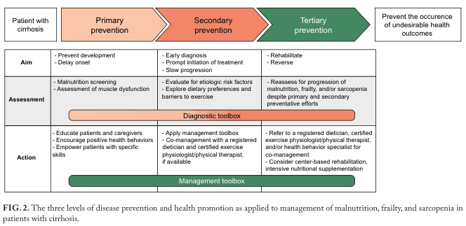 Summary : This figure presents a structured overview of the three levels of disease prevention and health promotion (primary, secondary, tertiary) as applied to the management of malnutrition, frailty, and sarcopenia in patients with cirrhosis. It details aims, assessment strategies, and actions for each prevention level, and highlights the use of diagnostic and management toolboxes.
flowchart/table hybrid:
# Structure :
• The figure is organized as a multi-row, multi-column table with flowchart elements.
• Columns represent: Primary prevention, Secondary prevention, Tertiary prevention, and a final box for "Prevent the occurrence of undesirable health outcomes".
• Rows represent: Aim, Assessment, Action.
• Overlapping horizontal bars for "Diagnostic toolbox" and "Management toolbox" span relevant sections.
# Columns (Prevention Levels) :
• Primary prevention: Focuses on preventing development and delaying onset.
• Secondary prevention: Focuses on early diagnosis, prompt initiation of treatment, and slowing progression.
• Tertiary prevention: Focuses on rehabilitation and reversal.
• Final box: "Prevent the occurrence of undesirable health outcomes".
# Rows (Content Areas) :
## Aim :
• Primary: Prevent development, delay onset.
• Secondary: Early diagnosis, prompt initiation of treatment, slow progression.
• Tertiary: Rehabilitate, reverse.
## Assessment :
• Primary: Malnutrition screening, assessment of muscle dysfunction.
• Secondary: Evaluate for etiologic risk factors, explore dietary preferences and barriers to exercise.
• Tertiary: Reassess for progression of malnutrition, frailty, and/or sarcopenia despite primary and secondary preventative efforts.
## Action :
• Primary: Educate patients and caregivers, encourage positive health behaviors, empower patients with specific skills.
• Secondary: Apply management toolbox, co-management with registered dietitian and certified exercise physiologist/physical therapist if available.
• Tertiary: Refer to registered dietitian, certified exercise physiologist/physical therapist, and/or health behavior specialist for co-management; consider center-based rehabilitation, intensive nutritional supplementation.
# Toolboxes :
• Diagnostic toolbox: Spans assessment row for primary and secondary prevention.
• Management toolbox: Spans action row for secondary and tertiary prevention.
# Layout :
• Table format with horizontal flow from left (primary) to right (tertiary), culminating in prevention of undesirable outcomes.
• Colour-coded sections: orange for primary/secondary, green for tertiary.
# Analysis :
• The figure visually organizes the progression from prevention to management in cirrhosis care, emphasizing a stepwise approach.
• Each prevention level builds on the previous, with increasing intervention intensity.
• The use of toolboxes highlights the integration of diagnostic and management strategies across levels.
• The final outcome box underscores the goal of preventing undesirable health outcomes through tailored interventions at each stage.