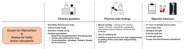 Summary : This figure outlines a structured approach for screening malnutrition and assessing frailty and/or sarcopenia, categorizing assessment methods into clinician questions, physical exam findings, and objective measures.
flowchart:
# Central Node :
• "Screen for Malnutrition & Assess for frailty and/or sarcopenia" (rounded rectangle, orange background)
# Assessment Categories :
## Clinician questions :
• Karnofsky Performance Scale
• Clinical Frailty Scale
• Activities of Daily Living
• Pediatric populations:
– Royal Free Hospital-Nutrition Prioritizing Tool
– Lansky play performance scale
– Fried-exhaustion, shrinkage, Pediatric Quality of Life Inventory
## Physical exam findings :
• Muscle wasting – wasting at the temples, clavicle, shoulder, scapula/abs, quadriceps, interosseous muscle between the thumb and forefinger
• Use of a walking aid
• Inability to stand up from the chair independently or getting off the exam table independently, slowness
## Objective measures :
• CT scan L3 skeletal muscle index
• Liver frailty index
• Handgrip strength
• 6 minute walk test
• 4 meter gait speed
• Triceps skin-fold thickness (pediatrics)
# Layout :
• The central node is on the left, with three columns to the right, each headed by an icon and a category title.
• Each column lists specific tools or findings under its category.
Analysis :
• The figure provides a comprehensive, multi-modal framework for assessing malnutrition, frailty, and sarcopenia, integrating subjective clinician assessments, physical examination findings, and objective quantitative measures. The inclusion of pediatric-specific tools highlights adaptability for different populations. The structure encourages a systematic, multi-pronged evaluation.