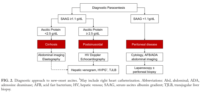 Summary : This flowchart outlines the diagnostic approach to new-onset ascites, using serum-ascites albumin gradient (SAAG) and ascitic protein levels to differentiate between cirrhosis, postsinusoidal, and peritoneal disease etiologies, and guides subsequent investigations.
flowchart:
# Nodes :
• Diagnostic Paracentesis (rectangle)
• SAAG ≥1.1 g/dL (rectangle)
• Ascitic Protein <2.5 g/dL (rectangle)
• Cirrhosis (red rectangle)
• Abdominal imaging / Elastography (rectangle)
• Ascitic Protein ≥2.5 g/dL (rectangle)
• Postsinusoidal (red rectangle)
• HV Doppler / Echocardiography (rectangle)
• Hepatic venogram, HVPG¹, TJLB (rectangle)
• SAAG <1.1 g/dL (rectangle)
• Peritoneal disease (red rectangle)
• Cytology, AFB/ADA, abdominal imaging (rectangle)
• Laparoscopy ± peritoneal biopsy (rectangle)
# Connectors :
• Diagnostic Paracentesis splits into two branches: SAAG ≥1.1 g/dL and SAAG <1.1 g/dL.
• SAAG ≥1.1 g/dL splits into Ascitic Protein <2.5 g/dL and Ascitic Protein ≥2.5 g/dL.
• Ascitic Protein <2.5 g/dL leads to Cirrhosis, then to Abdominal imaging / Elastography.
• Ascitic Protein ≥2.5 g/dL leads to Postsinusoidal, then to HV Doppler / Echocardiography.
• Both Abdominal imaging / Elastography and HV Doppler / Echocardiography connect to Hepatic venogram, HVPG¹, TJLB.
• SAAG <1.1 g/dL leads to Peritoneal disease, then to Cytology, AFB/ADA, abdominal imaging, and finally to Laparoscopy ± peritoneal biopsy.
# Layout :
• The flowchart is organized in a top-down manner, starting with Diagnostic Paracentesis at the top.
• The first split is based on SAAG value (≥1.1 g/dL vs <1.1 g/dL).
• The SAAG ≥1.1 g/dL branch further splits by ascitic protein level (<2.5 g/dL vs ≥2.5 g/dL).
• Each branch leads to a red box indicating the main disease category, followed by recommended diagnostic tests.
• The SAAG <1.1 g/dL branch leads directly to Peritoneal disease and its diagnostic steps.
# Analysis :
• The flowchart provides a clear, stepwise approach for evaluating new-onset ascites, using SAAG and ascitic protein to stratify patients.
• Cirrhosis is suggested by SAAG ≥1.1 g/dL and low ascitic protein, while postsinusoidal causes are suggested by high ascitic protein.
• Peritoneal disease is considered when SAAG is low (<1.1 g/dL).
• Each pathway leads to specific diagnostic modalities, ensuring targeted evaluation based on initial laboratory findings.
