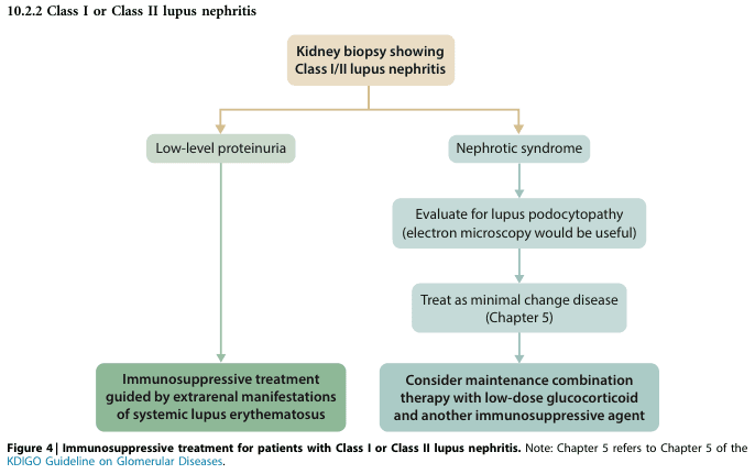 Summary : This flowchart outlines the immunosuppressive treatment approach for patients with Class I or Class II lupus nephritis, based on kidney biopsy findings and clinical presentation (low-level proteinuria vs. nephrotic syndrome).
flowchart:
# Nodes :
• Kidney biopsy showing Class I/II lupus nephritis (rounded rectangle, top/starting node)
• Low-level proteinuria (rounded rectangle, left branch)
• Immunosuppressive treatment guided by extrarenal manifestations of systemic lupus erythematosus (rounded rectangle, leftmost terminal node)
• Nephrotic syndrome (rounded rectangle, right branch)
• Evaluate for lupus podocytopathy (electron microscopy would be useful) (rounded rectangle, right branch, intermediate node)
• Treat as minimal change disease (Chapter 5) (rounded rectangle, right branch, intermediate node)
• Consider maintenance combination therapy with low-dose glucocorticoid and another immunosuppressive agent (rounded rectangle, rightmost terminal node)
# Connectors :
• The starting node splits into two branches: one to "Low-level proteinuria" (left), one to "Nephrotic syndrome" (right).
• "Low-level proteinuria" leads directly to "Immunosuppressive treatment guided by extrarenal manifestations of systemic lupus erythematosus".
• "Nephrotic syndrome" leads to "Evaluate for lupus podocytopathy (electron microscopy would be useful)".
• "Evaluate for lupus podocytopathy" leads to "Treat as minimal change disease (Chapter 5)".
• "Treat as minimal change disease" leads to "Consider maintenance combination therapy with low-dose glucocorticoid and another immunosuppressive agent".
# Layout :
• Top-down hierarchical structure.
• Two main branches (left: low-level proteinuria, right: nephrotic syndrome).
• Right branch has additional sequential steps before reaching the terminal node.
• All nodes are rounded rectangles; connectors are straight arrows.
# Analysis :
• The flowchart distinguishes treatment pathways based on the presence of low-level proteinuria versus nephrotic syndrome in patients with Class I/II lupus nephritis.
• For low-level proteinuria, treatment is guided by extrarenal lupus manifestations.
• For nephrotic syndrome, further evaluation for lupus podocytopathy is recommended, with subsequent treatment as minimal change disease and consideration of maintenance combination therapy.
• The right branch is more complex, indicating a need for additional diagnostic steps and combination therapy.