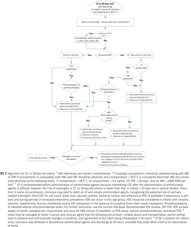 Summary : This flowchart provides a stepwise clinical algorithm for the evaluation and management of well-appearing infants aged 22 to 28 days with fever (temperature ≥38.0°C) and no evident source of infection, based on laboratory findings and clinical decision points.
flowchart:
# Nodes :
• Start (rectangle): "22 to 28 days old, well-appearing, no evident source of infection, and temperature ≥38.0°C"
• Process (rectangle): "Obtain urinalysis, blood culture, and IMD"
• Decision (diamond): "Positive urinalysis result?"
• Process (rectangle): "Send bladder catheterization or SPA urine culture"
• Decision (diamond): "Abnormal IMs?"
• Process (rectangle): "Perform LP"
• Decision (diamond): "CSF obtained?"
• Decision (diamond): "CSF pleocytosis or uninterpretable?"
• Process (rectangle): "1. Administer parenteral antimicrobials 2. Observe in hospital"
• Process (rectangle): "Treat infection"
• Decision (diamond): "May perform LP?"
• Decision (diamond): "LP performed?"
• Decision (diamond): "CSF obtained?"
• Decision (diamond): "CSF pleocytosis or traumatic?"
• Decision (diamond): "Will observation be at home?"
• Process (rectangle): "1. Administer parenteral antimicrobials 2. Observe at home 3. Reassess in 24 hours"
• Process (rectangle): "1. May administer parenteral antimicrobials 2. Observe in hospital"
• Process (rectangle): "Discontinue antimicrobials, discharge hospitalized infant if all cultures negative at 24 to 36 hours and HSV PCR is negative if sent. 2. Follow for duration of illness."
• Process (rectangle): "Pathogen or source identified?"
# Connectors :
• Arrows indicate the flow from one node to the next, with branches at each decision diamond for "Yes" and "No" responses.
• The flow begins at the top with patient presentation, proceeds through laboratory testing, and branches based on test results (e.g., urinalysis, IMs, CSF findings).
• Multiple decision points determine whether to perform lumbar puncture (LP), administer antimicrobials, observe in hospital or at home, or discontinue treatment.
• The flow merges at points where similar management is indicated regardless of the path taken (e.g., observation, reassessment, or discharge).
# Layout :
• The flowchart is arranged vertically, starting from the top with the initial patient presentation and moving downward through sequential decision points.
• Branches split horizontally at each decision diamond, with "Yes" and "No" paths leading to different subsequent nodes.
• Some branches reconverge after parallel processes (e.g., after observation or treatment).
• Explanatory footnotes and references are included at the bottom, clarifying criteria and recommendations.
# Analysis :
• The flowchart provides a structured, evidence-based approach for clinicians to evaluate febrile infants aged 22 to 28 days.
• Key decision points are based on laboratory findings (urinalysis, IMs, CSF analysis) and clinical feasibility (e.g., ability to observe at home).
• The algorithm emphasizes early identification of serious bacterial infection, appropriate use of antimicrobials, and safe discharge criteria.
• The process allows for flexibility based on test availability and clinical judgment, with clear guidance for both inpatient and outpatient management.
