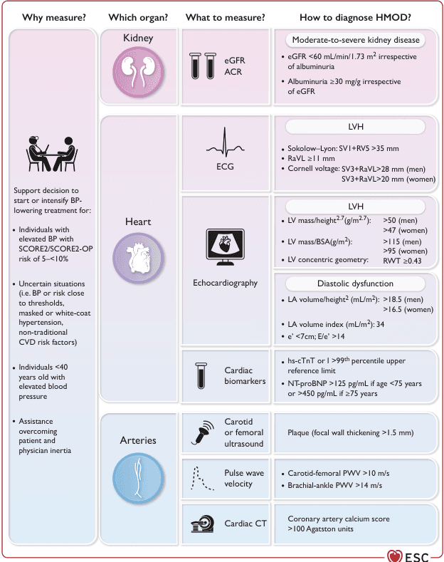 Summary : This figure provides a structured overview of how to measure and diagnose hypertension-mediated organ damage (HMOD) in the kidney, heart, and arteries, including what to measure, diagnostic criteria, and clinical indications for assessment.
flowchart/table hybrid:
# Why measure? :
• Support decision to start or intensify blood pressure (BP)-lowering treatment for:
– Individuals with elevated BP and SCORE2/SCORE2-OP risk of 5–<10%
– Uncertain situations (BP/risk close to thresholds, masked/white-coat hypertension, non-traditional CVD risk factors)
– Individuals <40 years old with elevated BP
– Assistance overcoming patient/physician inertia
# Which organ? :
• Kidney
• Heart
• Arteries
# What to measure? :
## Kidney :
• eGFR (estimated glomerular filtration rate)
• ACR (albumin-to-creatinine ratio)
## Heart :
• ECG
• Echocardiography
• Cardiac biomarkers
## Arteries :
• Carotid or femoral ultrasound
• Pulse wave velocity
• Cardiac CT
# How to diagnose HMOD? :
## Kidney :
• Moderate-to-severe kidney disease:
– eGFR <60 mL/min/1.73 m² (irrespective of albuminuria)
– Albuminuria ≥30 mg/g (irrespective of eGFR)
## Heart :
• LVH (left ventricular hypertrophy) by ECG:
– Sokolow–Lyon: SV1+RV5 >35 mm
– RaVL ≥11 mm
– Cornell voltage: SV3+RaVL >28 mm (men), >20 mm (women)
• LVH by echocardiography:
– LV mass/height².⁷ (g/m².⁷): >50 (men), >47 (women)
– LV mass/BSA (g/m²): >115 (men), >95 (women)
– LV concentric geometry: RWT ≥0.43
• Diastolic dysfunction:
– LA volume/height² (mL/m²): >18.5 (men), >16.5 (women)
– LA volume index (mL/m²): 34
– e’ <7cm; E/e’ >14
• Cardiac biomarkers:
– hs-cTnT or >99th percentile upper reference limit
– NT-proBNP >125 pg/mL (<75 years) or >450 pg/mL (≥75 years)
## Arteries :
• Carotid/femoral ultrasound: Plaque (focal wall thickening >1.5 mm)
• Pulse wave velocity:
– Carotid-femoral PWV >10 m/s
– Brachial-ankle PWV >14 m/s
• Cardiac CT: Coronary artery calcium score >100 Agatston units
# Design Encodings :
• Organ sections are colour-coded: kidney (purple), heart (light purple), arteries (blue).
• Icons represent each organ and measurement modality.
• Diagnostic criteria are listed in shaded boxes for each organ.
# Layout :
• Four main columns: Why measure?, Which organ?, What to measure?, How to diagnose HMOD?
• Rows for kidney, heart, and arteries, each with corresponding measurements and criteria.
# Analysis :
• The figure provides a comprehensive, organ-based approach to diagnosing HMOD, with clear measurement modalities and diagnostic thresholds for kidney, heart, and arterial damage.
• It highlights the importance of tailored assessment based on clinical context and risk, and provides actionable criteria for each organ system.
• The use of colour and icons aids rapid identification of organ systems and measurement types.