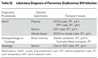 Table 52. Laboratory Diagnosis of Parvovirus (Erythrovirus) B19 Infection
<table><thead><tr><th>Diagnostic Procedures</th><th>Optimal Specimens</th><th>Transport Issues</th></tr></thead><tbody><tr><td rowspan="3">NAAT</td><td>Plasma</td><td>EDTA tube, RT, ≤2 h<br>PPT tube, RT, ≤6 h</td></tr><tr><td>Serum</td><td>SST tube, RT, ≤2 h</td></tr><tr><td>Whole blood</td><td>EDTA or citrate tube, RT, ≤2 h</td></tr><tr><td>Histopathology or Cytology</td><td>Bone marrow</td><td>Sterile container, RT; ≤24 h;<br>Formalin-filled container, RT</td></tr><tr><td>Serology</td><td>Serum</td><td>Clot or SST tube, RT, ≤2 h</td></tr></tbody></table>
Abbreviations: NAAT, nucleic acid amplification test; PPT, plasma preparation tube; RT, room temperature; SST, serum separator tube.