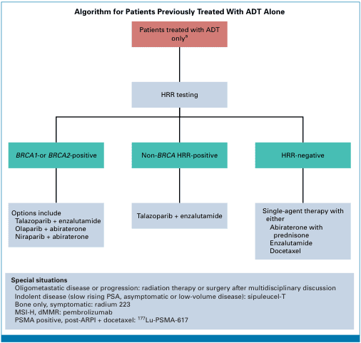 Summary : This flowchart presents an algorithm for managing patients previously treated with androgen deprivation therapy (ADT) alone, based on homologous recombination repair (HRR) testing results and subsequent treatment options.
flowchart:
# Nodes :
• Patients treated with ADT only (rectangle, top node)
• HRR testing (rectangle, second level)
• BRCA1- or BRCA2-positive (rectangle, third level, left branch)
• Non-BRCA HRR-positive (rectangle, third level, middle branch)
• HRR-negative (rectangle, third level, right branch)
• Options include Talazoparib + enzalutamide, Olaparib + abiraterone, Niraparib + abiraterone (rectangle, fourth level, left branch)
• Talazoparib + enzalutamide (rectangle, fourth level, middle branch)
• Single-agent therapy with either Abiraterone with prednisone, Enzalutamide, Docetaxel (rectangle, fourth level, right branch)
• Special situations (gray box at bottom): Oligometastatic disease or progression, indolent disease, bone only symptomatic, MSI-H/dMMR, PSMA positive, with specific therapies listed
# Connectors :
• Downward arrows connect each node in sequence.
• HRR testing branches into three parallel paths: BRCA1/2-positive, Non-BRCA HRR-positive, and HRR-negative.
• Each branch leads to specific treatment options.
# Layout :
• Vertical flow from top to bottom.
• Three parallel branches at the third level, each with its own treatment options.
• Special situations box is horizontally placed at the bottom, spanning all branches.
# Analysis :
• The algorithm stratifies patients based on HRR testing into three main groups: BRCA1/2-positive, non-BRCA HRR-positive, and HRR-negative.
• Each group receives tailored treatment options, with combination therapies for HRR-positive patients and single-agent therapies for HRR-negative patients.
• Special situations are addressed with additional therapies, indicating a nuanced approach for specific clinical scenarios.
• The flowchart emphasizes the importance of genetic testing in guiding therapy selection for patients previously treated with ADT alone.