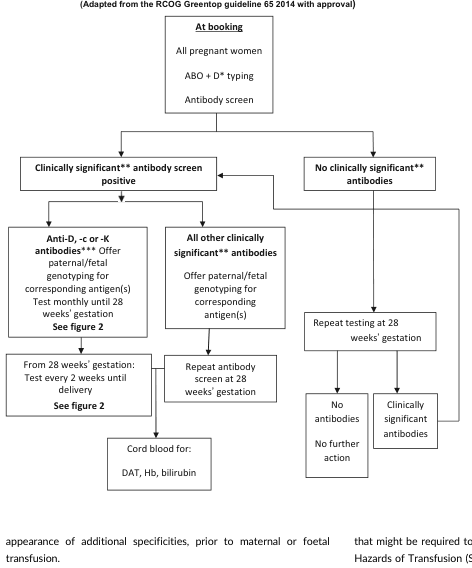 Summary : This flowchart outlines the recommended antenatal blood group and antibody screening process for pregnant women, adapted from the RCOG Greentop guideline 65 (2014). It details the steps for initial screening, follow-up testing, and management based on the presence or absence of clinically significant antibodies.
flowchart:
# Nodes :
• At booking (rectangle): All pregnant women; ABO + D* typing; Antibody screen.
• Clinically significant** antibody screen positive (rectangle)
• No clinically significant** antibodies (rectangle)
• Anti-D, -c or -K antibodies*** (rectangle): Offer paternal/fetal genotyping for corresponding antigen(s); Test monthly until 28 weeks’ gestation; See figure 2.
• All other clinically significant** antibodies (rectangle): Offer paternal/fetal genotyping for corresponding antigen(s).
• From 28 weeks’ gestation (rectangle): Test every 2 weeks until delivery; See figure 2.
• Cord blood for: DAT, Hb, bilirubin (rectangle)
• Repeat antibody screen at 28 weeks’ gestation (rectangle)
• Repeat testing at 28 weeks’ gestation (rectangle)
• No antibodies (rectangle)
• No further action (rectangle)
• Clinically significant antibodies (rectangle)
# Connectors :
• At booking splits into two branches: "Clinically significant** antibody screen positive" and "No clinically significant** antibodies".
• "Clinically significant** antibody screen positive" splits into two branches: "Anti-D, -c or -K antibodies***" and "All other clinically significant** antibodies".
• "Anti-D, -c or -K antibodies***" leads to "From 28 weeks’ gestation", which leads to "Cord blood for: DAT, Hb, bilirubin".
• "All other clinically significant** antibodies" leads to "Repeat antibody screen at 28 weeks’ gestation".
• "No clinically significant** antibodies" leads to "Repeat testing at 28 weeks’ gestation", which splits into "No antibodies" (leading to "No further action") and "Clinically significant antibodies".
# Layout :
• The flowchart is arranged in a top-down manner, starting with initial booking at the top, branching into two main pathways based on antibody screen results, and further subdividing based on antibody type and follow-up actions.
• The left branch details management for clinically significant antibodies, with further differentiation for specific antibody types and testing intervals.
• The right branch covers cases with no clinically significant antibodies, with a simple repeat testing protocol.
# Analysis :
• The flowchart provides a clear, stepwise approach for antenatal blood group and antibody screening, emphasizing regular monitoring for women with clinically significant antibodies, especially anti-D, -c, or -K.
• It highlights the importance of paternal/fetal genotyping and increased testing frequency for higher-risk cases.
• The process ensures that women without significant antibodies receive minimal intervention, while those with antibodies are closely monitored to prevent complications.