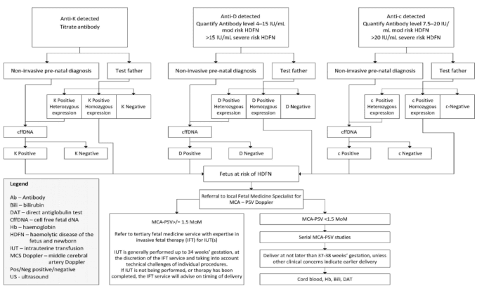 Summary : This flowchart outlines the diagnostic and management pathway for pregnancies affected by maternal alloimmunization to Anti-K, Anti-D, or Anti-c antibodies, focusing on the risk assessment and monitoring for hemolytic disease of the fetus and newborn (HDFN).
flowchart:
# Nodes :
• Anti-K detected (rectangle)
• Titrate antibody (rectangle)
• Non-invasive pre-natal diagnosis (rectangle)
• Test father (rectangle)
• K Positive Heterozygous expression (rectangle)
• K Positive Homozygous expression (rectangle)
• K Negative (rectangle)
• cffDNA (rectangle)
• K Positive (rectangle)
• K Negative (rectangle)
• Anti-D detected (rectangle)
• Quantify Antibody level 4–15 IU/mL mod risk HDFN >15 IU/mL severe risk HDFN (rectangle)
• Non-invasive pre-natal diagnosis (rectangle)
• Test father (rectangle)
• D Positive Heterozygous expression (rectangle)
• D Positive Homozygous expression (rectangle)
• D Negative (rectangle)
• cffDNA (rectangle)
• D Positive (rectangle)
• D Negative (rectangle)
• Fetus at risk of HDFN (rectangle)
• Referral to local Fetal Medicine Specialist for MCA – PSV Doppler (rectangle)
• MCA-PSV > 1.5 MoM (rectangle)
• Refer to tertiary fetal medicine service with expertise in invasive fetal therapy (IFT) for IUT(s) (rectangle)
• MCA-PSV < 1.5 MoM (rectangle)
• Serial MCA-PSV studies (rectangle)
• Deliver at not later than 37–38 weeks’ gestation, unless other clinical concerns indicate earlier delivery (rectangle)
• Cord blood, Hb, Bili, DAT (rectangle)
• Anti-c detected (rectangle)
• Quantify Antibody level 7.5–20 IU/mL mod risk HDFN >20 IU/mL severe risk HDFN (rectangle)
• Non-invasive pre-natal diagnosis (rectangle)
• Test father (rectangle)
• c Positive Heterozygous expression (rectangle)
• c Positive Homozygous expression (rectangle)
• c-Negative (rectangle)
• cffDNA (rectangle)
• c Positive (rectangle)
• c Negative (rectangle)
• Legend (rectangle) – defines abbreviations used in the chart
# Connectors :
• Arrows indicate the flow from antibody detection to titration, then to non-invasive diagnosis or paternal testing.
• Branches split based on paternal genotype (heterozygous, homozygous, negative).
• If the father is negative, the pathway ends (no risk).
• If the father is positive (heterozygous or homozygous), cffDNA is used to determine fetal antigen status.
• If the fetus is antigen negative, the pathway ends (no risk).
• If the fetus is antigen positive, the fetus is at risk of HDFN and referred for further monitoring.
• For at-risk fetuses, referral to fetal medicine for MCA-PSV Doppler is indicated.
• If MCA-PSV > 1.5 MoM, refer for invasive fetal therapy (IUT).
• If MCA-PSV < 1.5 MoM, continue serial monitoring.
• Delivery is recommended at 37–38 weeks unless earlier delivery is clinically indicated.
# Layout :
• The chart is organized into three parallel vertical pathways for Anti-K, Anti-D, and Anti-c, each with similar diagnostic and management steps.
• Each pathway splits into non-invasive diagnosis and paternal testing, then converges on fetal risk assessment and management.
• The bottom section merges all pathways for final fetal monitoring and delivery planning.
• A legend box is present at the bottom left, defining abbreviations.
# Analysis :
• The flowchart provides a clear, stepwise approach for managing pregnancies at risk of HDFN due to Anti-K, Anti-D, or Anti-c alloimmunization.
• The process emphasizes non-invasive testing first, with paternal testing to stratify risk.
• Only fetuses at risk (antigen positive) are referred for intensive monitoring and possible intervention.
• The use of MCA-PSV Doppler is central for ongoing fetal surveillance, with invasive therapy reserved for those with evidence of fetal anemia.
• The chart standardizes care and minimizes unnecessary interventions for low-risk pregnancies.