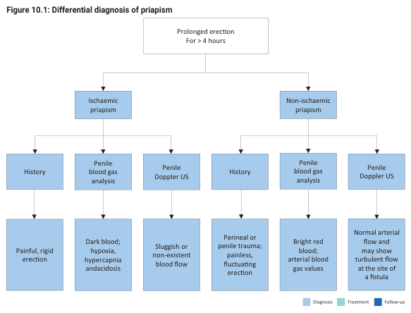 Summary : This flowchart provides a differential diagnosis pathway for priapism, distinguishing between ischaemic and non-ischaemic types based on clinical history, penile blood gas analysis, and penile Doppler ultrasound findings.
flowchart:
# Nodes :
• Start (rectangle): "Prolonged erection For > 4 hours"
• Decision (rectangle): "Ischaemic priapism"
• Decision (rectangle): "Non-ischaemic priapism"
• History (rectangle, under Ischaemic): "History"
• Penile blood gas analysis (rectangle, under Ischaemic): "Penile blood gas analysis"
• Penile Doppler US (rectangle, under Ischaemic): "Penile Doppler US"
• History (rectangle, under Non-ischaemic): "History"
• Penile blood gas analysis (rectangle, under Non-ischaemic): "Penile blood gas analysis"
• Penile Doppler US (rectangle, under Non-ischaemic): "Penile Doppler US"
• Outcome (rectangle, under Ischaemic History): "Painful, rigid erection"
• Outcome (rectangle, under Ischaemic Blood Gas): "Dark blood; hypoxia, hypercapnia and acidosis"
• Outcome (rectangle, under Ischaemic Doppler): "Sluggish or non-existent blood flow"
• Outcome (rectangle, under Non-ischaemic History): "Perineal or penile trauma; painless, fluctuating erection"
• Outcome (rectangle, under Non-ischaemic Blood Gas): "Bright red blood; arterial blood gas values"
• Outcome (rectangle, under Non-ischaemic Doppler): "Normal arterial flow and may show turbulent flow at the site of a fistula"
# Connectors :
• "Prolonged erection For > 4 hours" splits into two branches: "Ischaemic priapism" and "Non-ischaemic priapism".
• Each type (ischaemic/non-ischaemic) branches into three diagnostic modalities: History, Penile blood gas analysis, Penile Doppler US.
• Each diagnostic modality leads to a specific outcome node describing findings.
# Layout :
• The flowchart is organized as a top-down tree.
• The initial node splits horizontally into two main branches (ischaemic vs. non-ischaemic).
• Each branch further splits into three parallel diagnostic pathways, each with its own outcome.
# Analysis :
• The flowchart clearly distinguishes ischaemic priapism (painful, rigid, with dark blood and poor flow) from non-ischaemic priapism (often trauma-related, painless, with bright red blood and normal/turbulent flow).
• Diagnostic steps are parallel for both types, emphasizing the importance of history, blood gas analysis, and Doppler ultrasound in differentiation.
• Colour coding (blue for diagnosis, teal for treatment, grey for follow-up) is present but not detailed in the text.