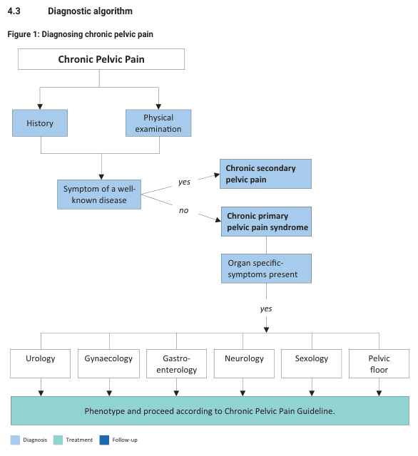 Summary : This flowchart presents a diagnostic algorithm for chronic pelvic pain, guiding clinicians through history, physical examination, and subsequent decision points to classify and manage the condition.
flowchart:
# Nodes :
• Chronic Pelvic Pain (rectangle)
• History (rectangle)
• Physical examination (rectangle)
• Symptom of a well-known disease (rectangle)
• Chronic secondary pelvic pain (rectangle)
• Chronic primary pelvic pain syndrome (rectangle)
• Organ specific-symptoms present (rectangle)
• Urology (rectangle)
• Gynaecology (rectangle)
• Gastro-enterology (rectangle)
• Neurology (rectangle)
• Sexology (rectangle)
• Pelvic floor (rectangle)
• Phenotype and proceed according to Chronic Pelvic Pain Guideline (rectangle, teal background)
# Connectors :
• Arrows from "Chronic Pelvic Pain" to both "History" and "Physical examination".
• Both "History" and "Physical examination" feed into "Symptom of a well-known disease".
• From "Symptom of a well-known disease":
– Arrow labeled "yes" to "Chronic secondary pelvic pain".
– Arrow labeled "no" to "Chronic primary pelvic pain syndrome".
• From "Chronic primary pelvic pain syndrome" to "Organ specific-symptoms present".
• From "Organ specific-symptoms present":
– Arrow labeled "yes" splits to six specialties: "Urology", "Gynaecology", "Gastro-enterology", "Neurology", "Sexology", "Pelvic floor".
• All six specialties point to "Phenotype and proceed according to Chronic Pelvic Pain Guideline".
# Layout :
• Top-down hierarchical structure.
• Initial assessment splits into two branches based on symptom association with a known disease.
• Further branching occurs if organ-specific symptoms are present, leading to specialty-specific pathways.
• All specialty pathways converge on a unified management guideline.
# Design Encodings :
• Diagnosis steps are shaded light blue.
• Treatment/follow-up step ("Phenotype and proceed...") is shaded teal.
• Arrows indicate logical flow and decision points.
• Branches are labeled with decision criteria ("yes", "no").
# Analysis :
• The algorithm systematically differentiates between secondary and primary chronic pelvic pain based on history, examination, and symptom specificity.
• If a well-known disease is identified, the pain is classified as secondary; otherwise, further evaluation for organ-specific symptoms directs management to relevant specialties.
• All pathways ultimately converge on a standardized guideline for phenotyping and management, ensuring comprehensive and multidisciplinary care.