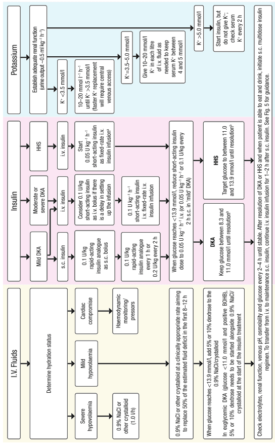 Summary : This figure is a clinical management flowchart for the treatment of diabetic ketoacidosis (DKA) and hyperosmolar hyperglycemic state (HHS), focusing on the protocols for potassium, insulin, and intravenous fluids. It provides stepwise decision-making based on laboratory values and patient status.