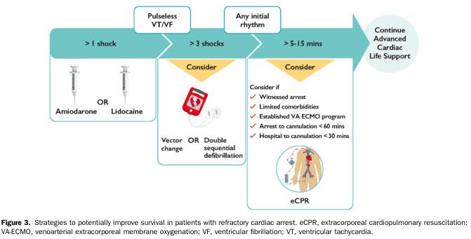 Summary : This flowchart outlines strategies to improve survival in patients with refractory cardiac arrest, detailing interventions based on the number of shocks, rhythm type, and elapsed time, and highlighting when to consider advanced therapies such as extracorporeal cardiopulmonary resuscitation (eCPR).
flowchart:
# Nodes :
• Pulseless VT/VF (>1 shock) (rounded rectangle)
• Amiodarone OR Lidocaine (rectangle with syringe icons)
• Pulseless VT/VF (>3 shocks) (rounded rectangle)
• Consider: Vector change OR Double sequential defibrillation (rectangle with defibrillator icon)
• Any initial rhythm (>5–15 mins) (rounded rectangle)
• Consider: eCPR (rectangle with eCPR illustration)
– Consider if: Witnessed arrest, Limited comorbidities, Established VA ECMO program, Arrest to cannulation <60 mins, Hospital to cannulation <30 mins (checklist)
• Continue Advanced Cardiac Life Support (rounded rectangle)
# Connectors :
• Arrows connect each node sequentially from left to right.
• Decision points (e.g., “Consider”) branch to specific interventions.
• Flow proceeds from initial shock management to advanced therapies and ongoing support.
# Layout :
• Horizontal flow from left (initial shock) to right (advanced support).
• Three main stages: initial drug therapy, defibrillation strategies, and advanced resuscitation.
• Decision diamonds and rectangles are used for intervention options.
# Analysis :
• The flowchart provides a stepwise escalation of care for refractory cardiac arrest, starting with antiarrhythmic drugs after >1 shock, considering advanced defibrillation techniques after >3 shocks, and evaluating candidacy for eCPR after 5–15 minutes of arrest based on specific criteria. The process emphasizes timely intervention and the use of specialized resources to improve survival outcomes.