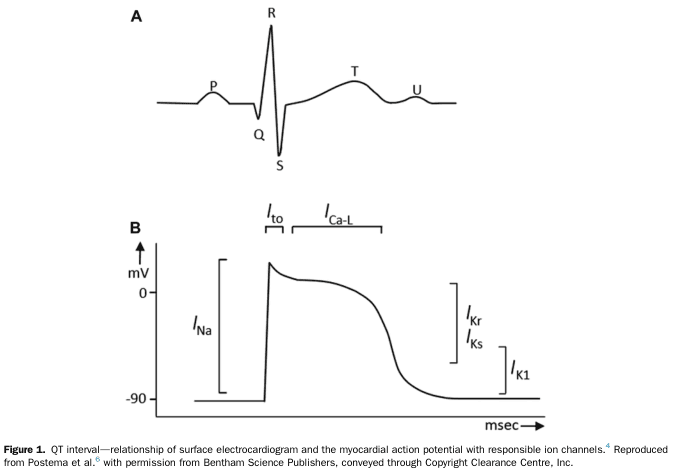 Summary : This figure illustrates the relationship between the surface electrocardiogram (ECG) waveform and the myocardial action potential, highlighting the corresponding ion channels responsible for different phases of cardiac electrical activity.
line diagram:
# Panel A: Surface Electrocardiogram (ECG) Waveform :
• Shows a typical ECG trace with labeled points: P, Q, R, S, T, and U.
• The waveform represents the electrical activity of the heart during a cardiac cycle.
• P wave: atrial depolarization.
• QRS complex: ventricular depolarization.
• T wave: ventricular repolarization.
• U wave: sometimes seen, origin not fully understood.
# Panel B: Myocardial Action Potential :
• Plots membrane potential (mV) on the y-axis (ranging from -90 mV to above 0 mV) against time (msec) on the x-axis.
• Shows the phases of the cardiac action potential:
– Rapid upstroke (depolarization) due to I_Na (sodium current).
– Early repolarization (I_to, transient outward potassium current).
– Plateau phase (I_Ca-L, L-type calcium current).
– Repolarization phase (I_Kr and I_Ks, rapid and slow delayed rectifier potassium currents).
– Resting potential maintained by I_K1 (inward rectifier potassium current).
# Ion Channels & Phases :
• I_Na: Responsible for the initial rapid depolarization.
• I_to: Contributes to early repolarization.
• I_Ca-L: Maintains the plateau phase.
• I_Kr and I_Ks: Mediate repolarization.
• I_K1: Maintains the resting membrane potential.
# Design Encodings :
• Simple black line traces for both ECG and action potential.
• Ion channel names are annotated above the relevant phases of the action potential.
# Analysis :
• The figure visually links the phases of the ECG waveform to the underlying myocardial action potential and the specific ion channels involved.
• The QRS complex corresponds to the rapid depolarization (I_Na), while the T wave aligns with repolarization (I_Kr, I_Ks).
• The plateau phase (I_Ca-L) is crucial for the duration of the QT interval, which is clinically significant for arrhythmia risk.
• The diagram provides a clear educational overview of how surface ECG features relate to cellular electrophysiology.