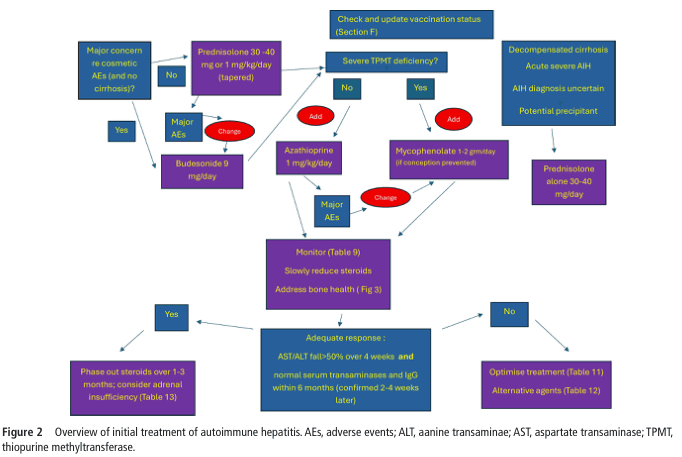 Summary : This flowchart outlines the initial treatment algorithm for autoimmune hepatitis, detailing decision points, medication choices, and monitoring steps based on patient characteristics and adverse events.
flowchart:
# Nodes :
• "Major concern re cosmetic AEs (and no cirrhosis)?" (rectangle)
• "Yes" (rectangle)
• "Major AEs" (rectangle)
• "Budesonide 9 mg/day" (rectangle)
• "Change" (ellipse, red)
• "No" (rectangle)
• "Prednisolone 30-40 mg or 1 mg/kg/day (tapered)" (rectangle)
• "Major AEs" (rectangle)
• "Check and update vaccination status (Section F)" (rectangle)
• "Severe TPMT deficiency?" (rectangle)
• "No" (rectangle)
• "Add" (ellipse, red)
• "Azathioprine 1 mg/kg/day" (rectangle)
• "Major AEs" (rectangle)
• "Change" (ellipse, red)
• "Monitor (Table 9)" (rectangle)
• "Slowly reduce steroids" (rectangle)
• "Address bone health (Fig 3)" (rectangle)
• "Adequate response:" (rectangle)
• "AST/ALT fall>50% over 4 weeks and normal serum transaminases and IgG within 6 months (confirmed 2-4 weeks later)" (rectangle)
• "Yes" (rectangle)
• "Phase out steroids over 1-3 months; consider adrenal insufficiency (Table 13)" (rectangle)
• "No" (rectangle)
• "Optimise treatment (Table 11)" (rectangle)
• "Alternative agents (Table 12)" (rectangle)
• "Yes" (rectangle)
• "Add" (ellipse, red)
• "Mycophenolate 1-2 gm/day (if conception prevented)" (rectangle)
• "Decompensated cirrhosis" (rectangle)
• "Acute severe AIH" (rectangle)
• "AIH diagnosis uncertain" (rectangle)
• "Potential precipitant" (rectangle)
• "Prednisolone alone 30-40 mg/day" (rectangle)
# Connectors :
• Arrows indicate decision flow, with branches for "Yes" and "No" responses.
• "Major concern re cosmetic AEs (and no cirrhosis)?" splits to "Yes" (leading to Budesonide) and "No" (leading to Prednisolone).
• "Severe TPMT deficiency?" splits to "No" (leading to Azathioprine) and "Yes" (leading to Mycophenolate).
• "Major AEs" nodes trigger "Change" actions, redirecting to alternative medications.
• Monitoring and response nodes lead to either phasing out steroids or optimizing treatment.
• Special conditions (decompensated cirrhosis, acute severe AIH, etc.) direct to Prednisolone alone.
# Layout :
• The flowchart is organized in a top-down manner, starting with initial assessment and branching based on patient-specific factors.
• Decision diamonds and rectangles are used for choices and actions, with red ellipses marking points of change or addition.
• The chart includes feedback loops for adverse events and monitoring.
# Analysis :
• The flowchart provides a clear, stepwise approach to initial autoimmune hepatitis treatment, emphasizing individualized therapy based on adverse events, cosmetic concerns, and specific contraindications.
• It highlights the importance of monitoring, steroid tapering, and alternative immunosuppressive agents for patients with intolerance or contraindications.
• Special populations (e.g., those with cirrhosis or severe disease) are managed with simplified regimens.
• The algorithm ensures safety checks (e.g., vaccination status, bone health) and adapts therapy based on response and side effects.