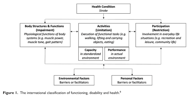 Summary : This figure presents the International Classification of Functioning, Disability and Health (ICF) model, specifically applied to stroke, illustrating the interrelationships between health condition, body functions, activities, participation, and contextual factors.
flowchart:
# Nodes :
• Health Condition (rectangle): "Stroke"
• Body Structures & Functions (Impairment) (rectangle): "Physiological functions of body systems (e.g. muscle power, muscle tone, gait pattern)"
• Activities (Limitation) (rectangle): "Execution of functional tasks (e.g. walking, lifting and carrying objects, eating)"
– Capacity (sub-rectangle): "in standardized environment"
– Performance (sub-rectangle): "in actual environment"
• Participation (Restriction) (rectangle): "Involvement in everyday life situations (e.g. recreation and leisure, community life)"
• Environmental Factors (rectangle): "Barriers or facilitators"
• Personal Factors (rectangle): "Barriers or facilitators"
# Connectors :
• Arrow from Health Condition to Body Structures & Functions, Activities, and Participation.
• Bidirectional arrows between Body Structures & Functions and Activities.
• Bidirectional arrows between Activities and Participation.
• Arrows from Environmental Factors and Personal Factors to Body Structures & Functions, Activities, and Participation.
# Layout :
• Central top node (Health Condition) branches to three horizontally aligned nodes (Body Structures & Functions, Activities, Participation).
• Activities node is subdivided into Capacity and Performance.
• Environmental and Personal Factors are aligned below, with arrows pointing upward to the three main domains.
# Analysis :
• The diagram visually organizes the ICF framework, emphasizing that stroke (as a health condition) impacts body functions, activities, and participation, all of which are influenced by environmental and personal factors.
• The bidirectional arrows highlight the dynamic and reciprocal relationships among impairments, activity limitations, and participation restrictions.
• The model underscores the importance of context (environmental and personal factors) in shaping outcomes for individuals with stroke.